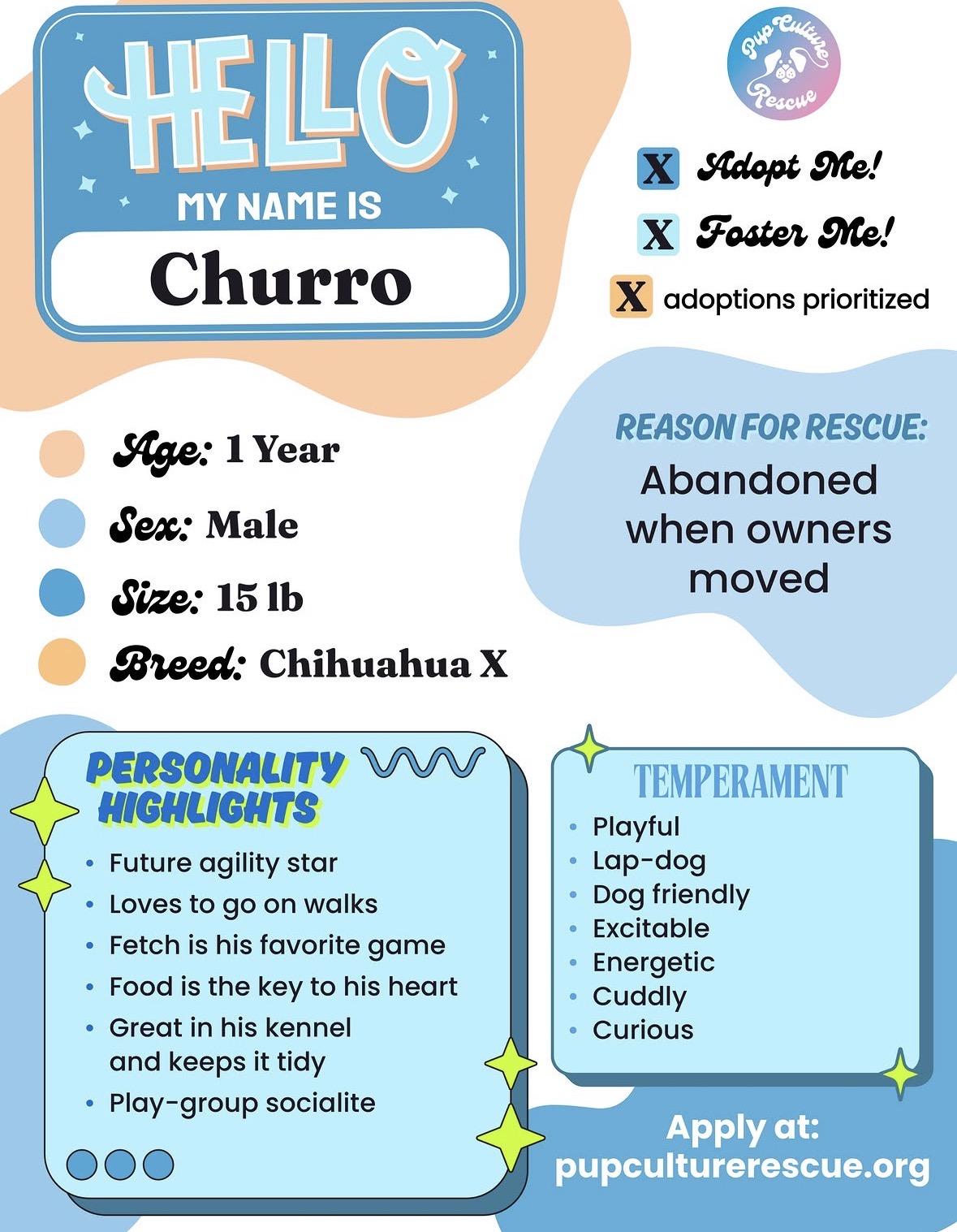 Enlarge Churro, a Adoptable mixed breed in Pasadena, CA image 2/5