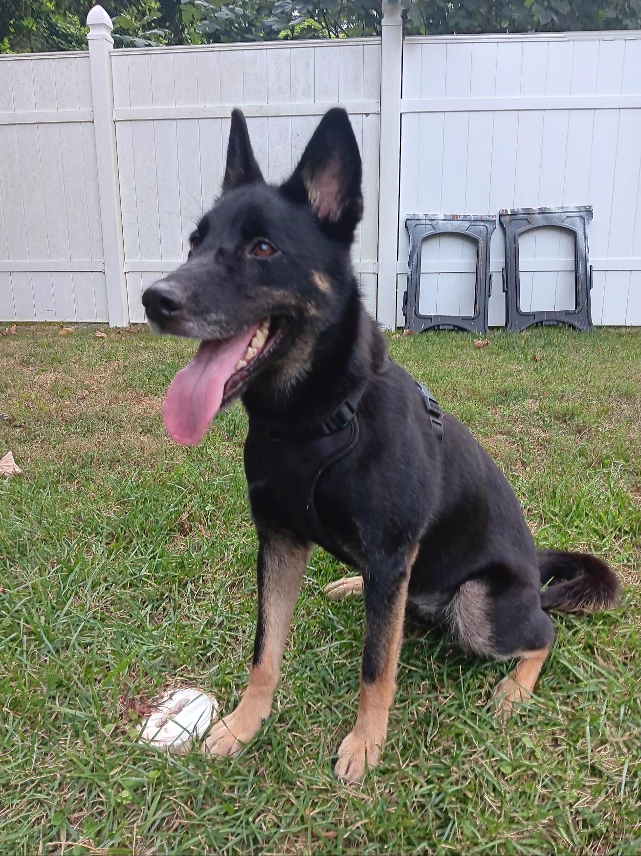 Xena photo 5