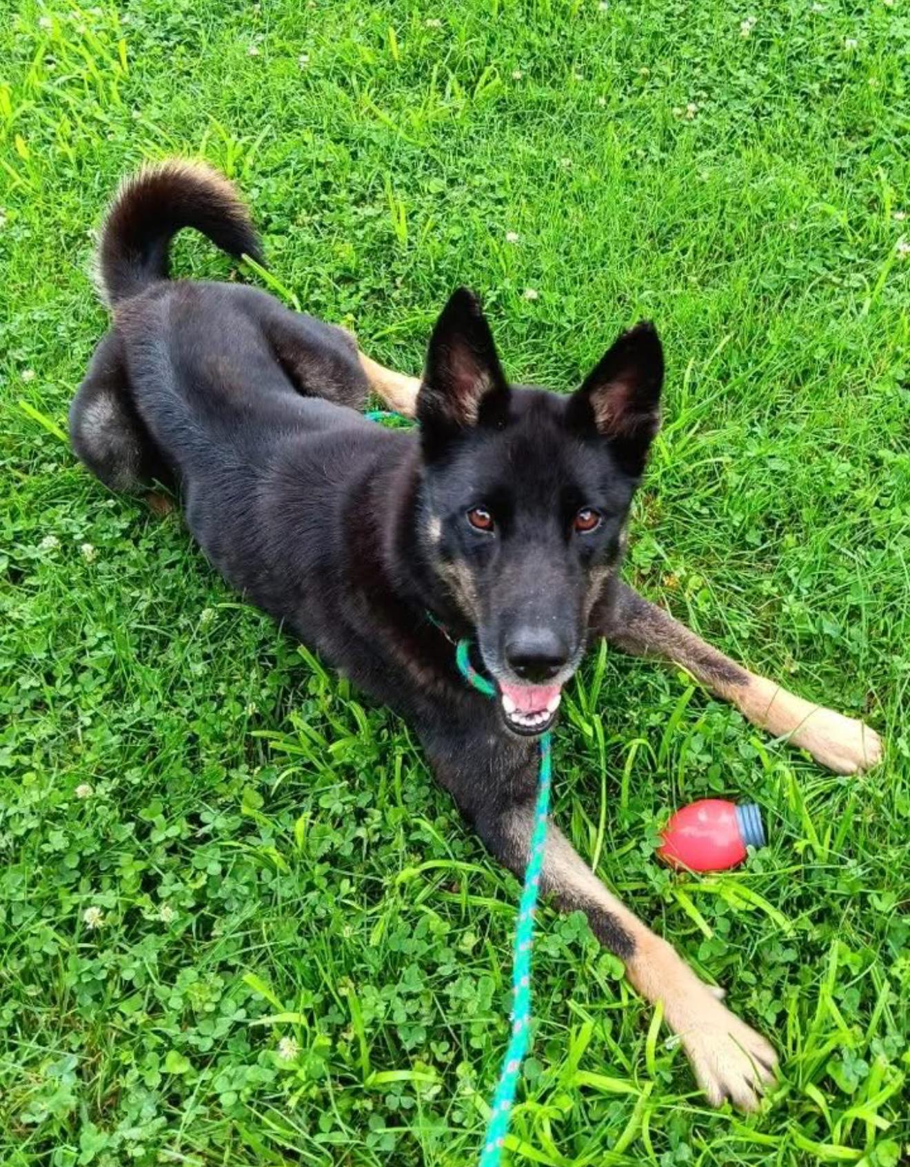 Xena