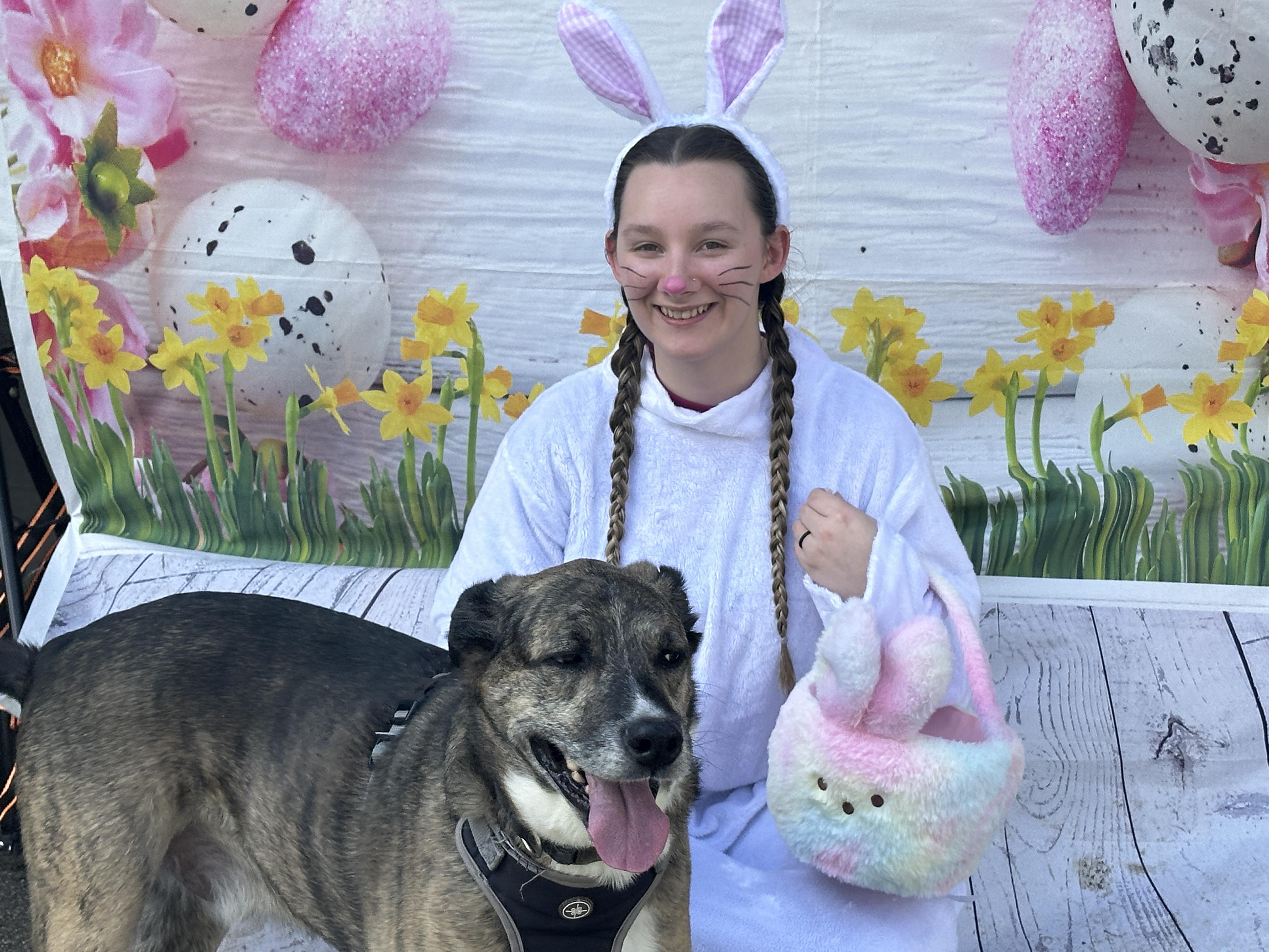 Enlarge Akeem, a ADOPTABLE mixed breed in Lyndhurst, OH image 3/3