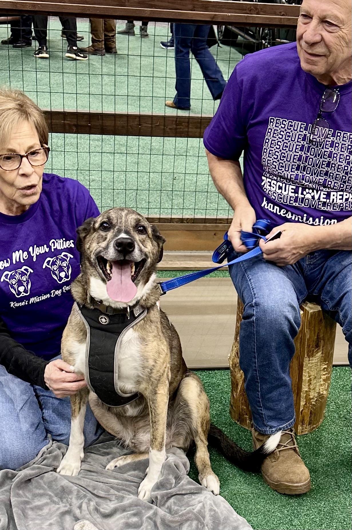 Enlarge Akeem, a ADOPTABLE mixed breed in Lyndhurst, OH image 1/2