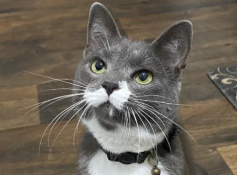 Gentleman Jack thumbnail 2