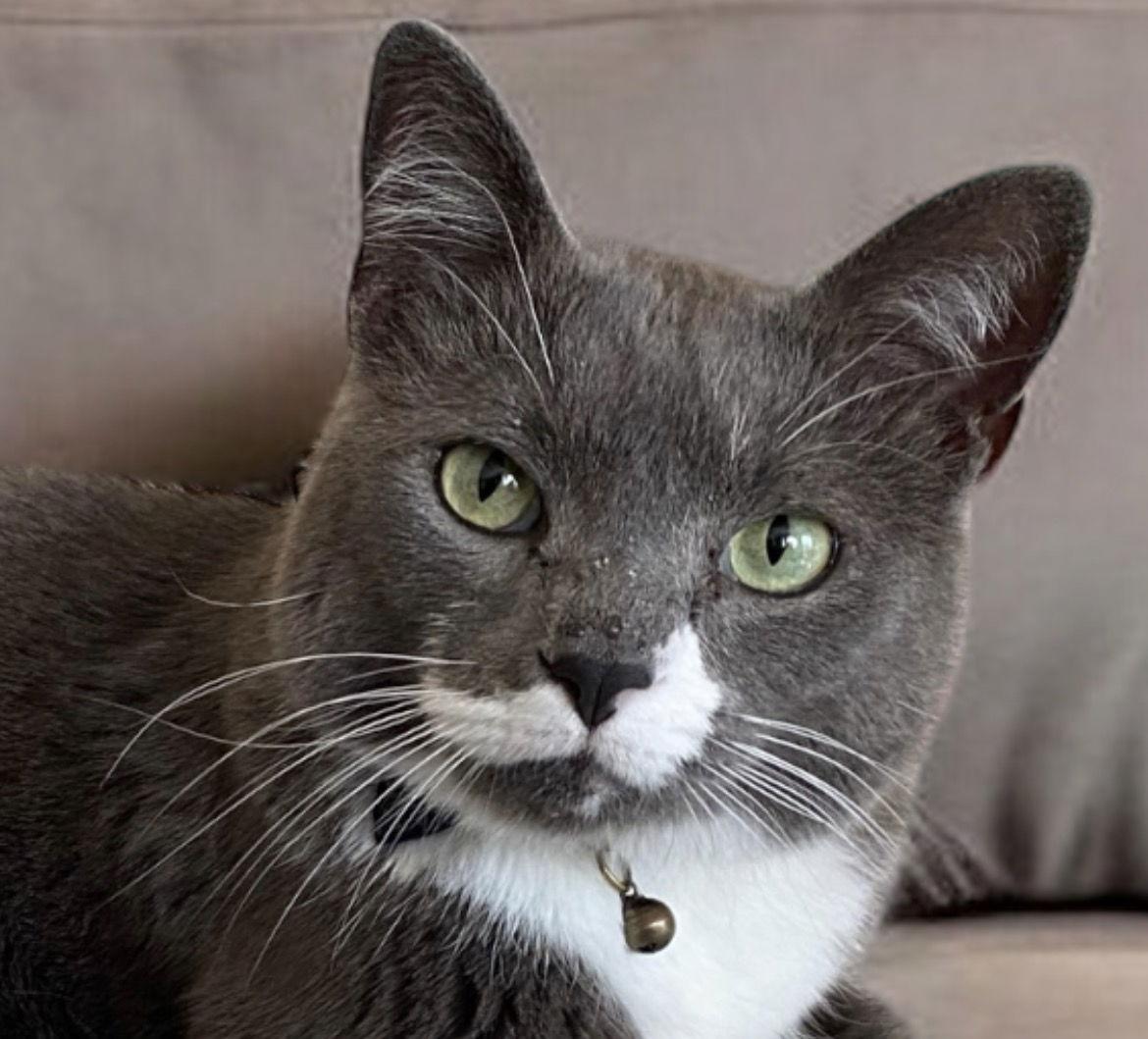 Gentleman Jack thumbnail 3