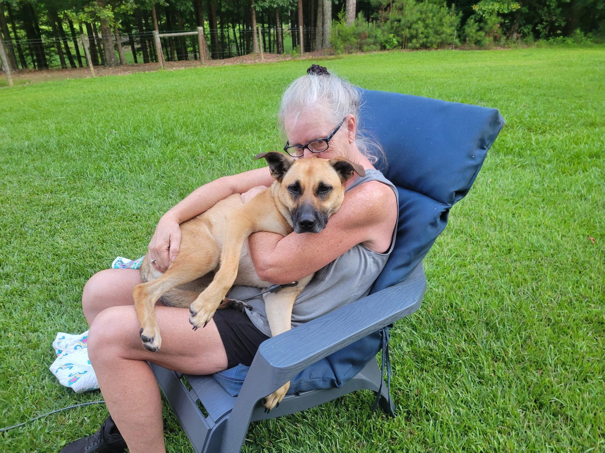 Zilly SS, an adoptable mixed breed in South Portland, ME image 6/6