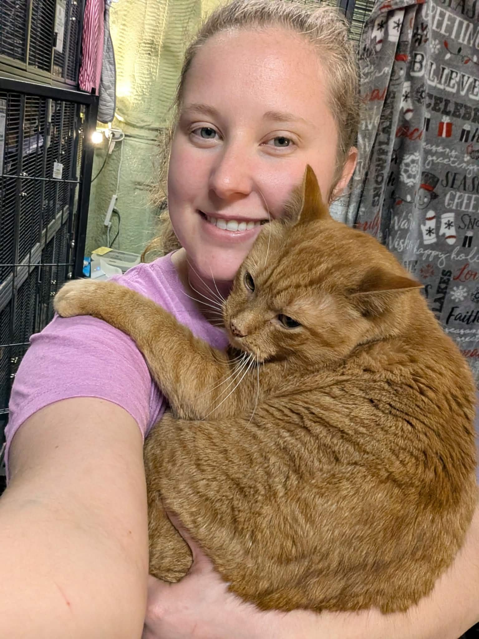 Enlarge O.J., a Adoptable Domestic Short Hair in Tillsonburg, ON image 5/6