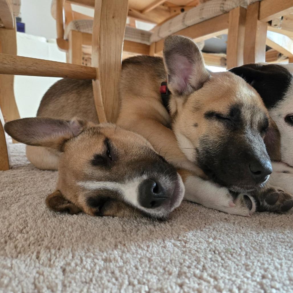 Harbour Pr thumbnail 2