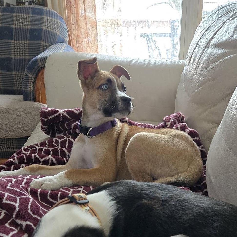 Harbour Pr thumbnail 5