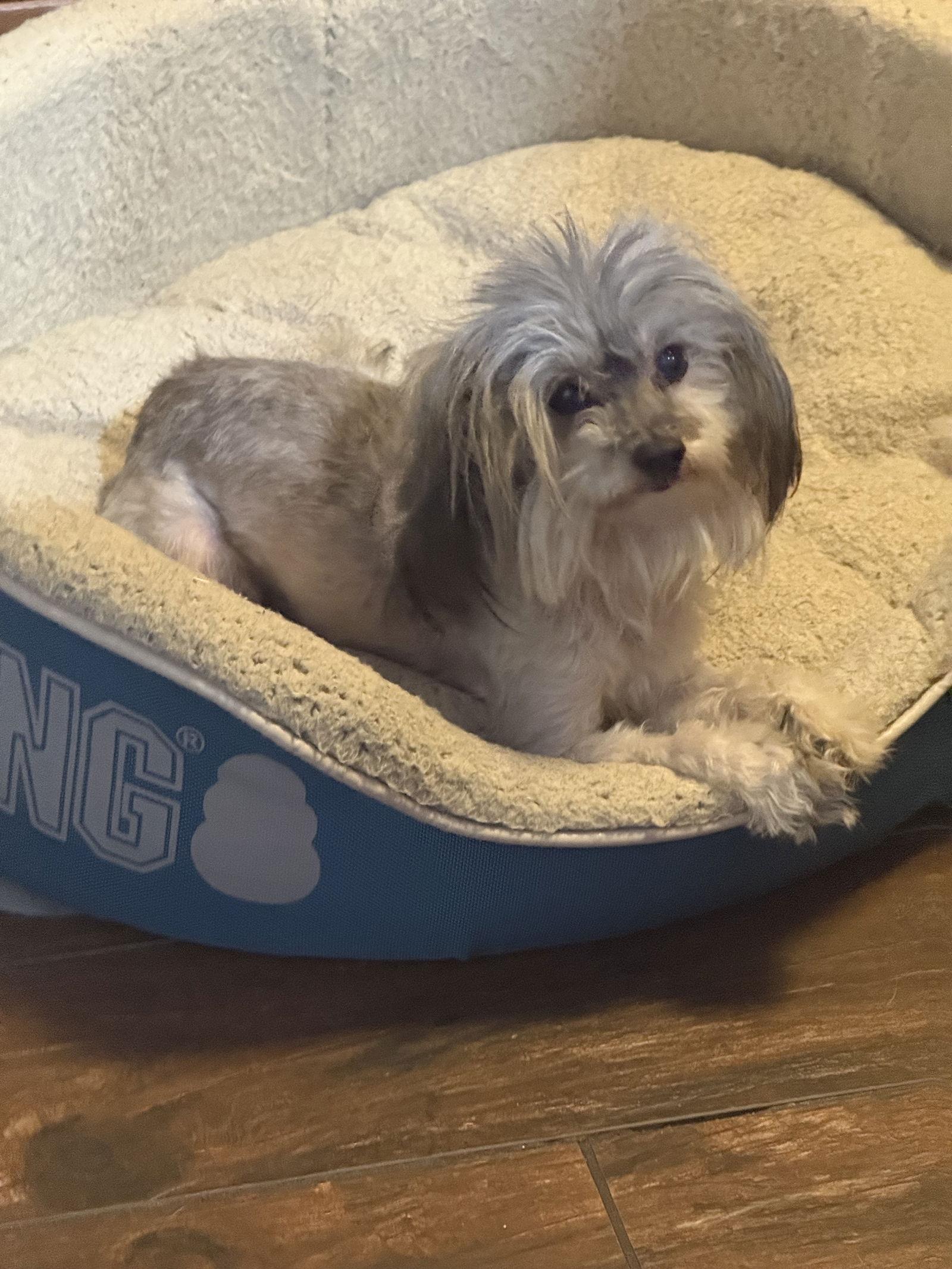 Harrybonded thumbnail 2