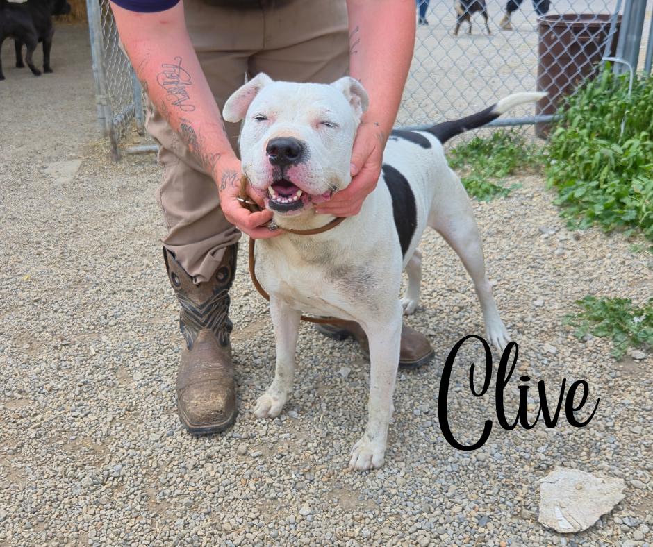 Clive