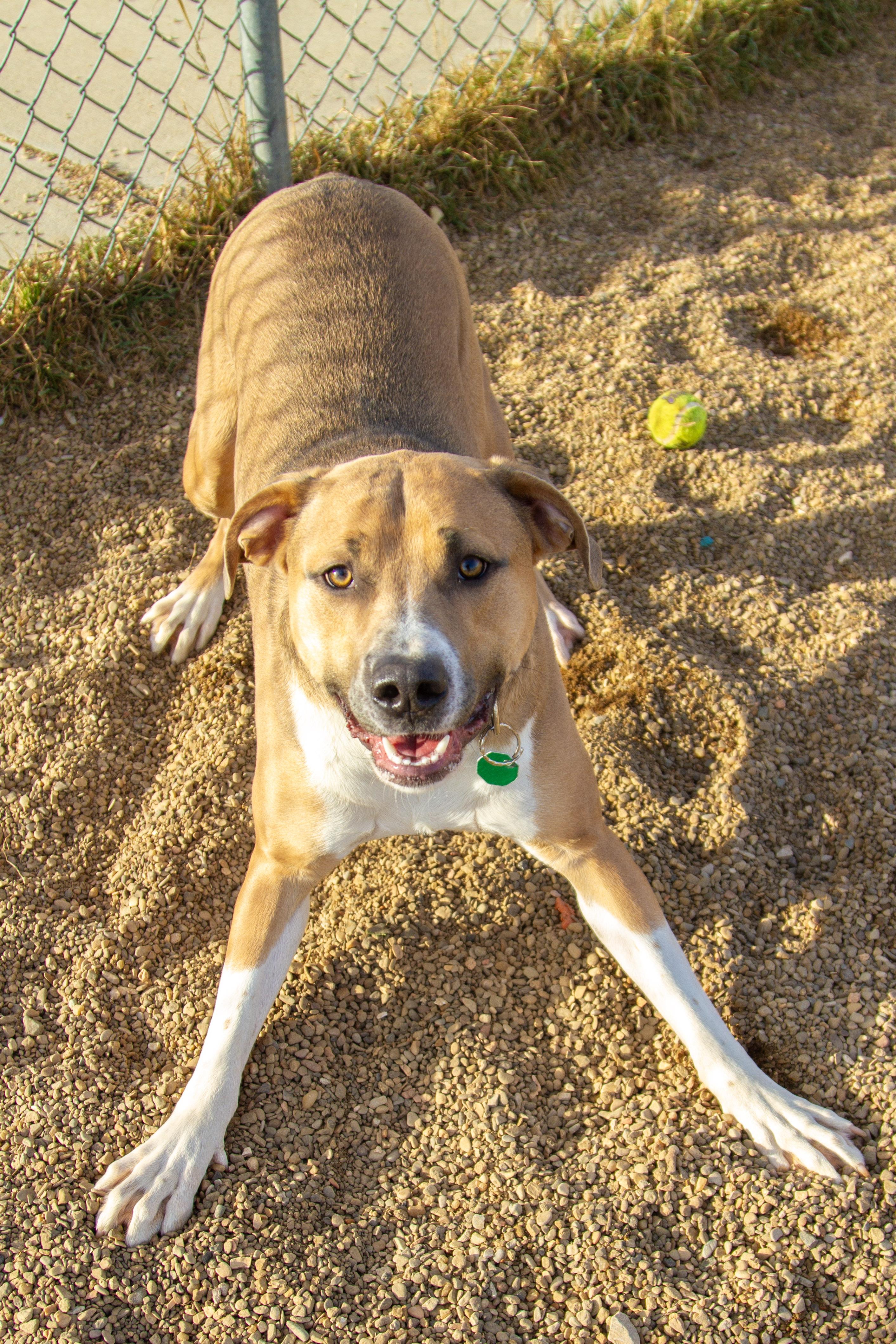 Doug — thumbnail 2