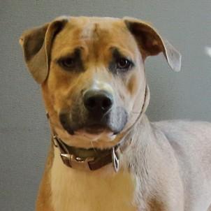 Doug — thumbnail 3