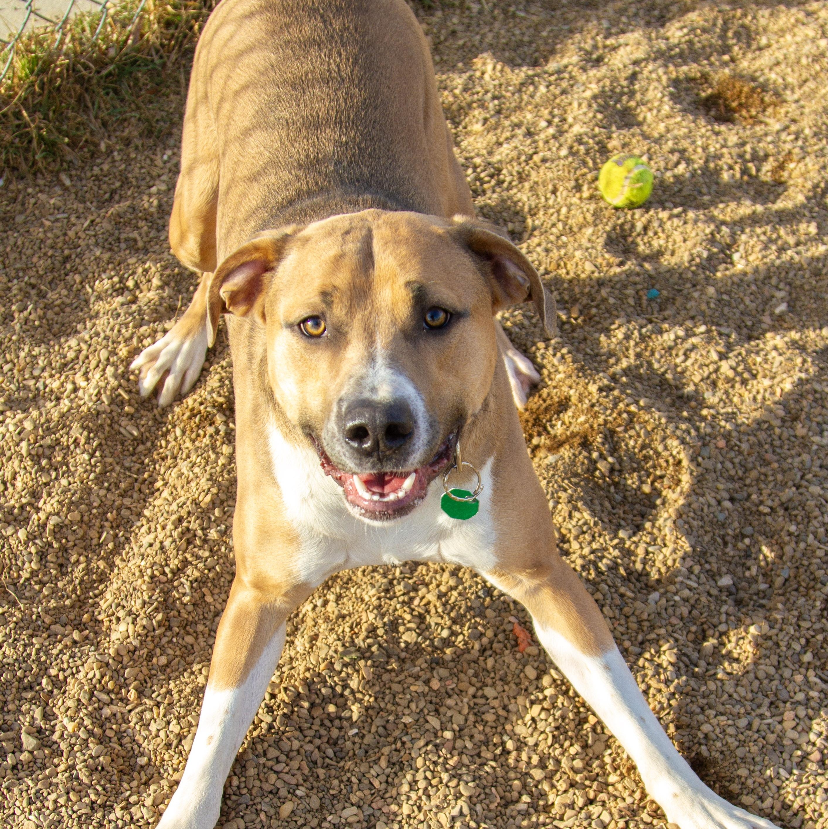 Doug — thumbnail 4