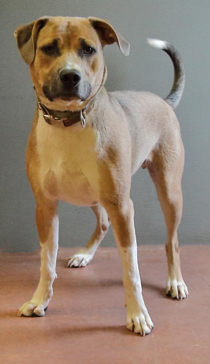 Doug — thumbnail 5