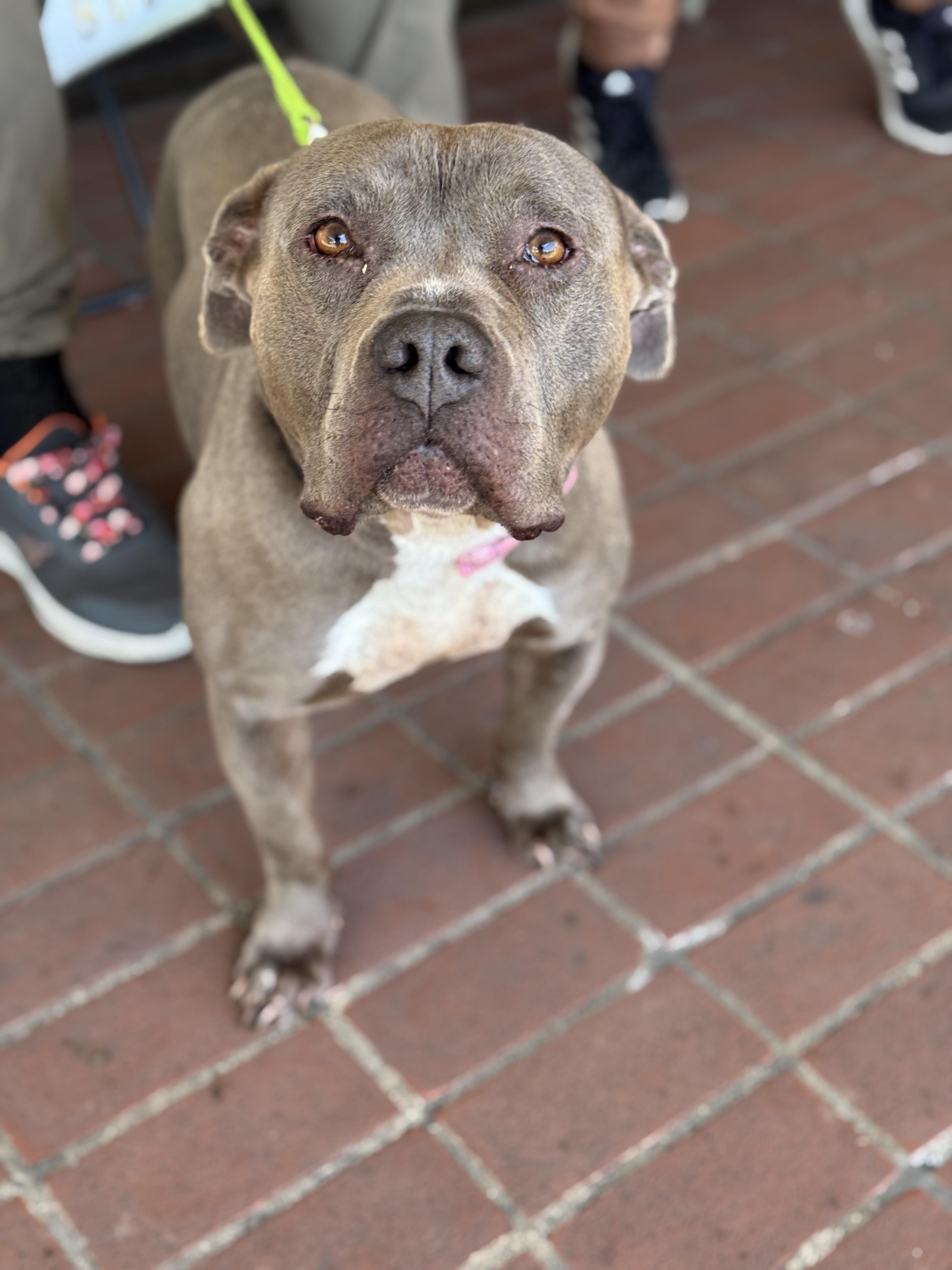 Ferdinand thumbnail 2