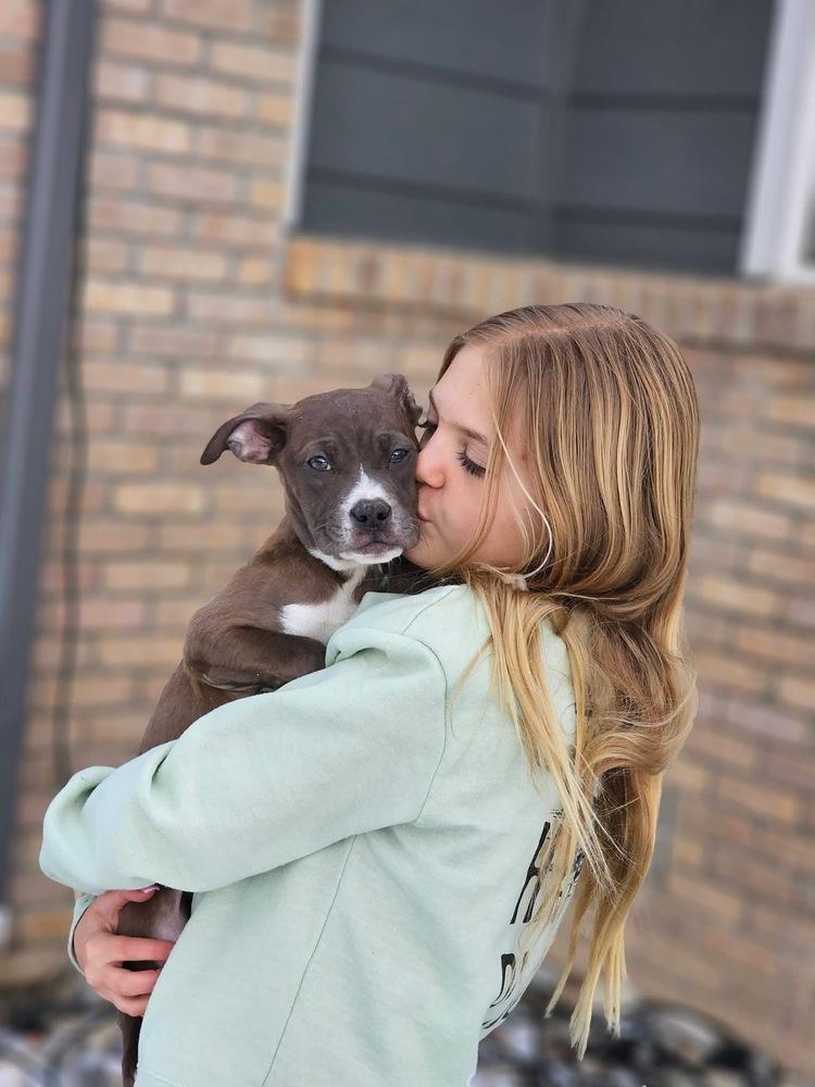 Enlarge Aspen3, a Adoptable mixed breed in Littleton, CO image 5/6