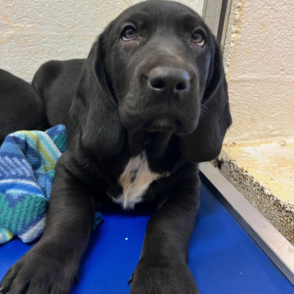 Harewood thumbnail 2