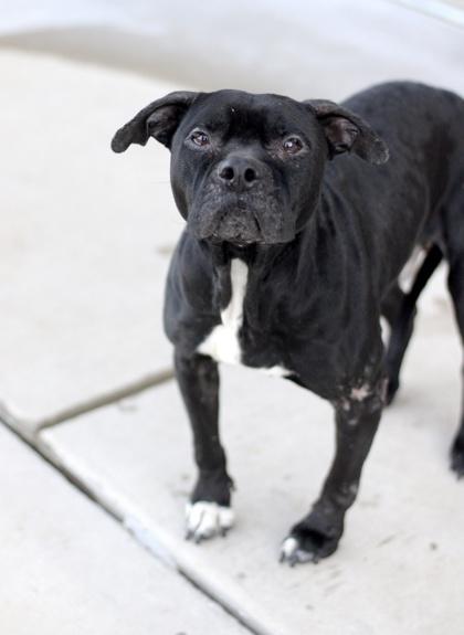 Kimmy — thumbnail 2