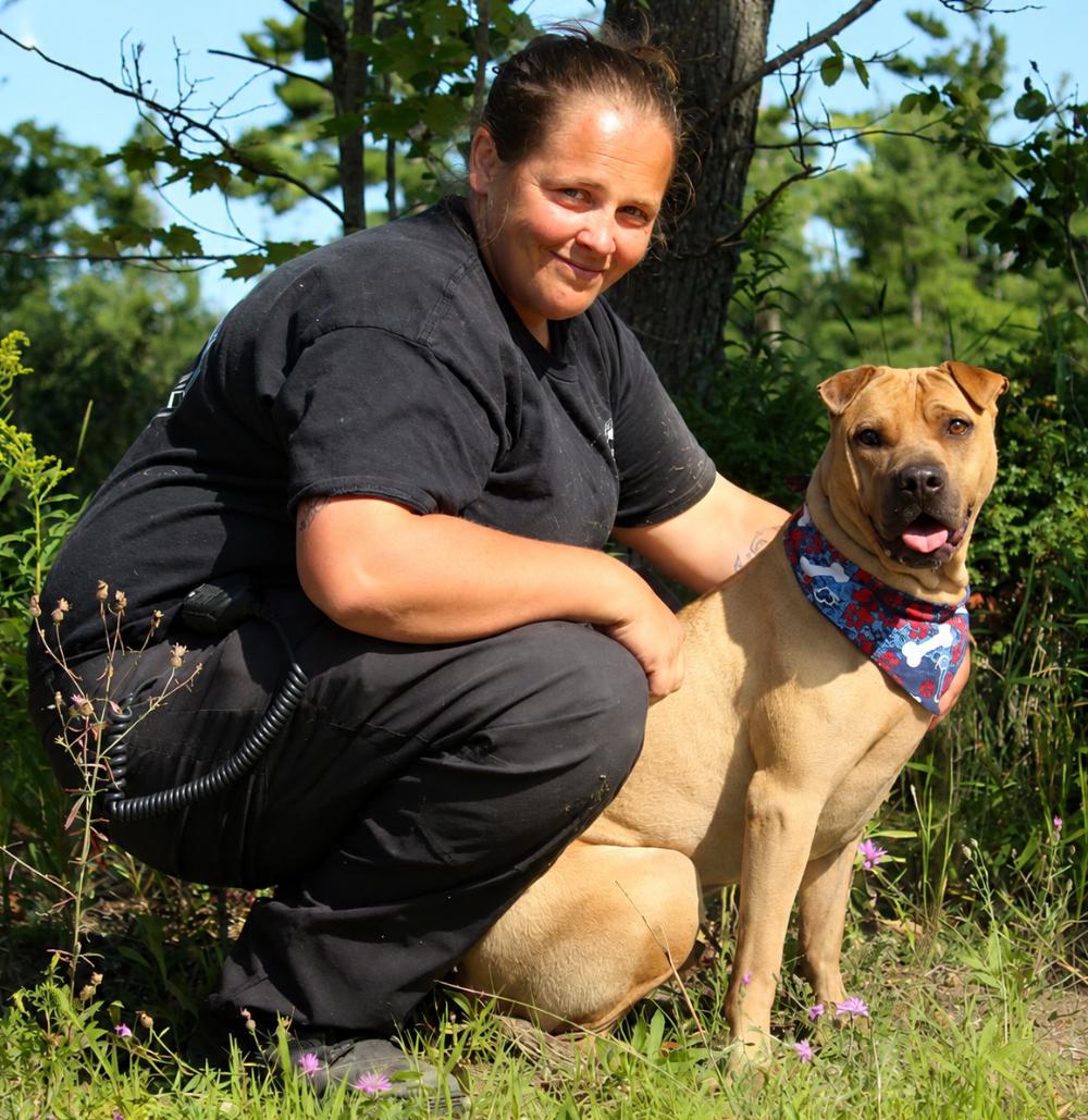 Hugo, an adoptable Shar-Pei in Cheboygan, MI image 6/6