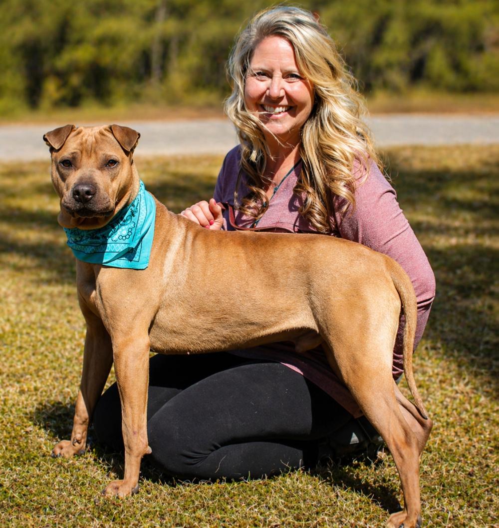 Enlarge Hugo, an adoptable Shar-Pei in Cheboygan, MI image 1/5