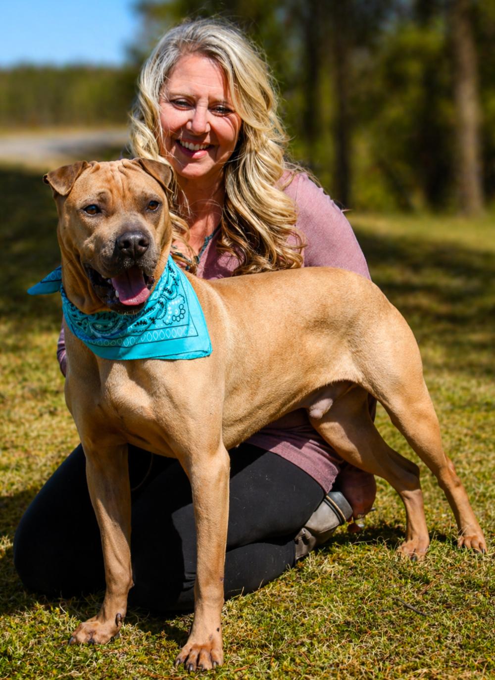 Enlarge Hugo, an adoptable Shar-Pei in Cheboygan, MI image 3/5