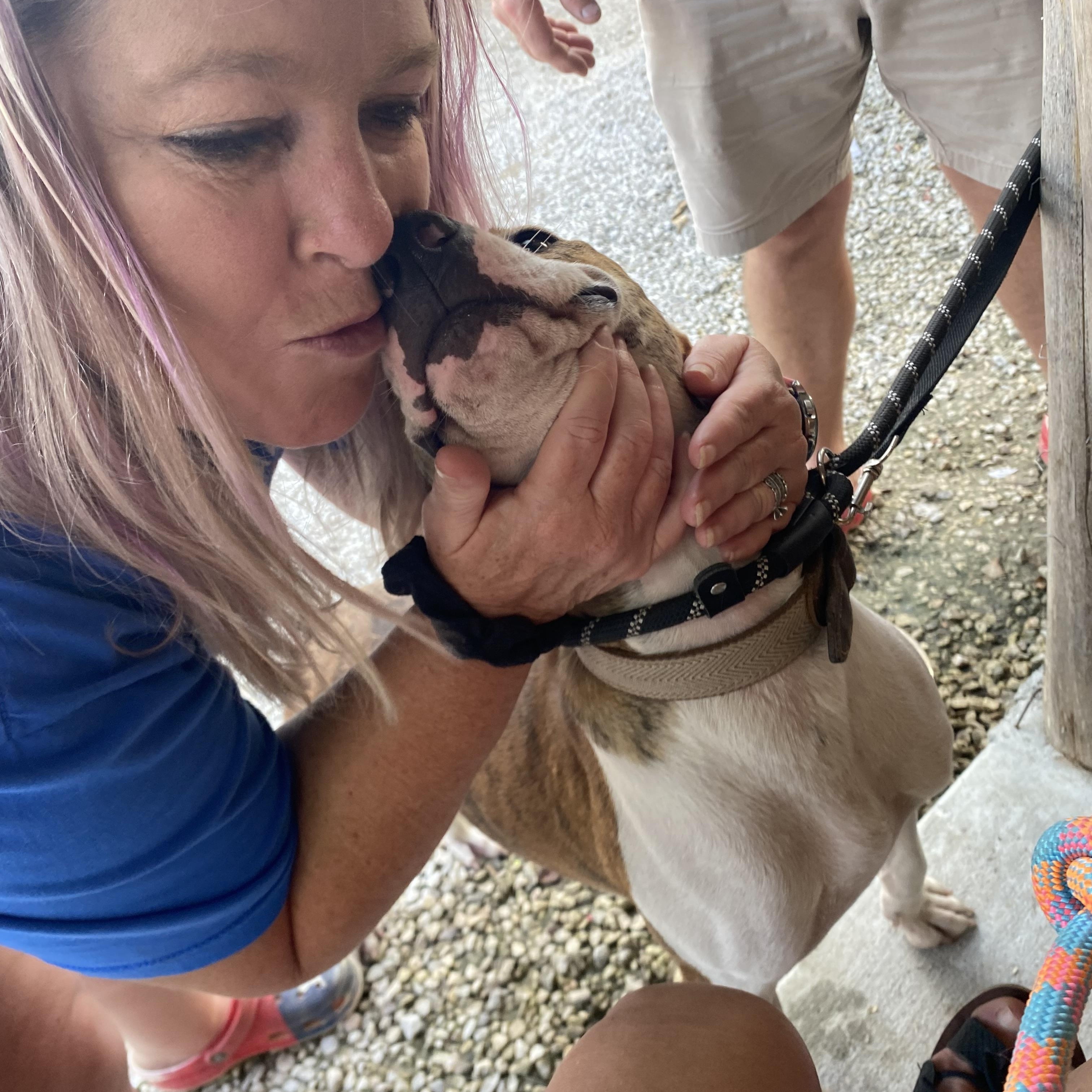 Enlarge MARSHALL, a Adoptable mixed breed in conroe, TX image 3/5