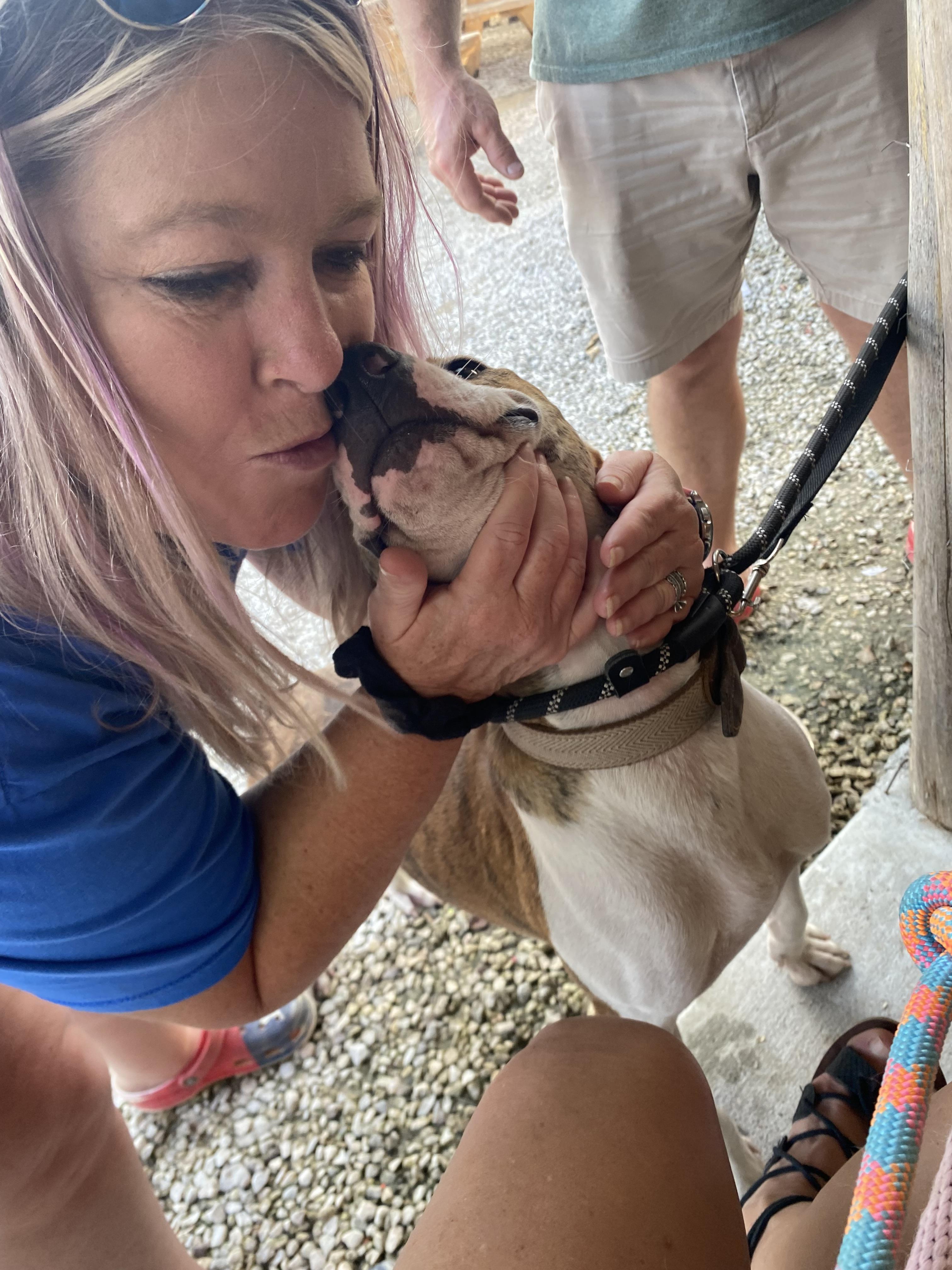 MARSHALL, a Adoptable mixed breed in conroe, TX image 4/6
