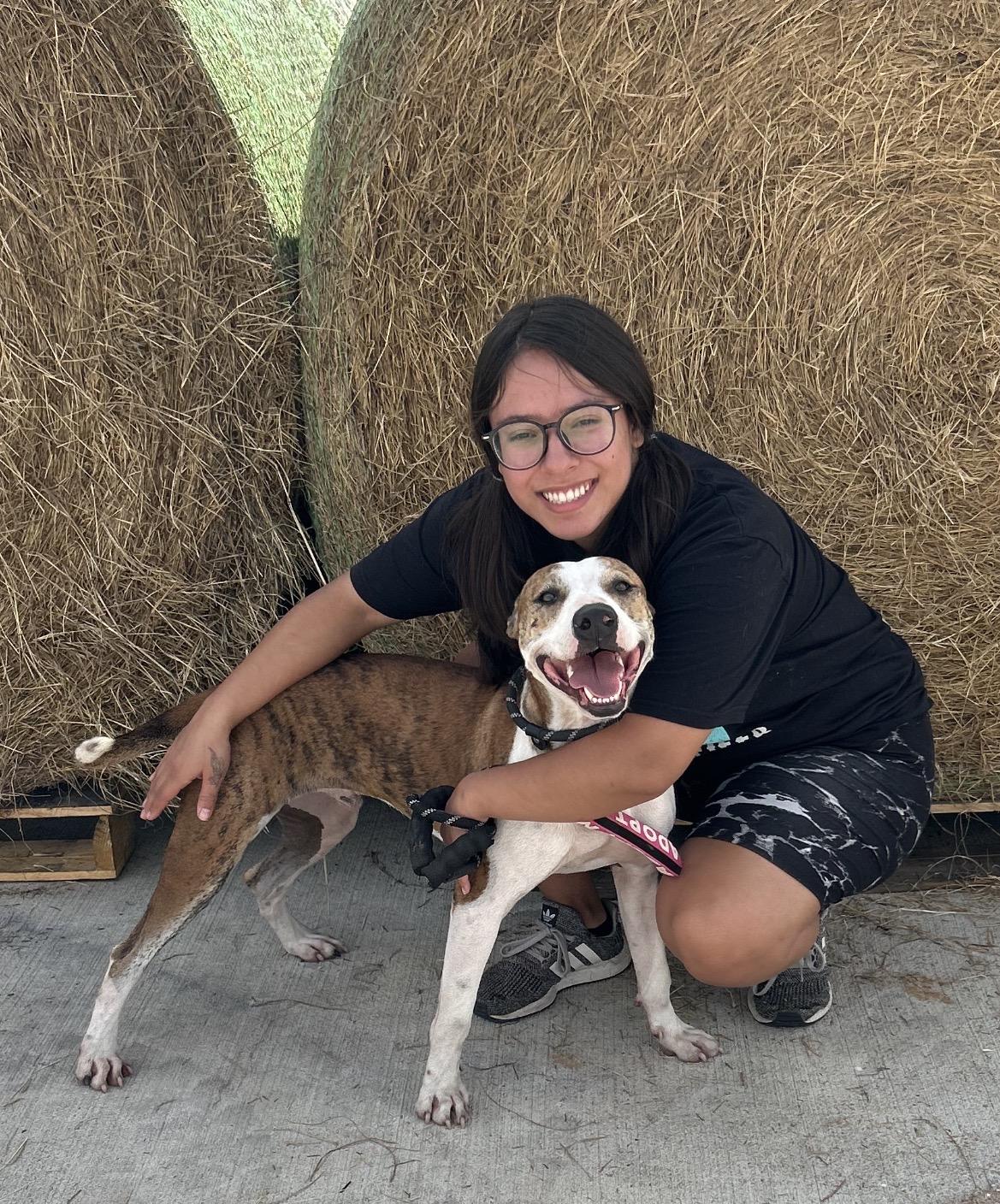 Enlarge MARSHALL, a Adoptable mixed breed in conroe, TX image 4/6