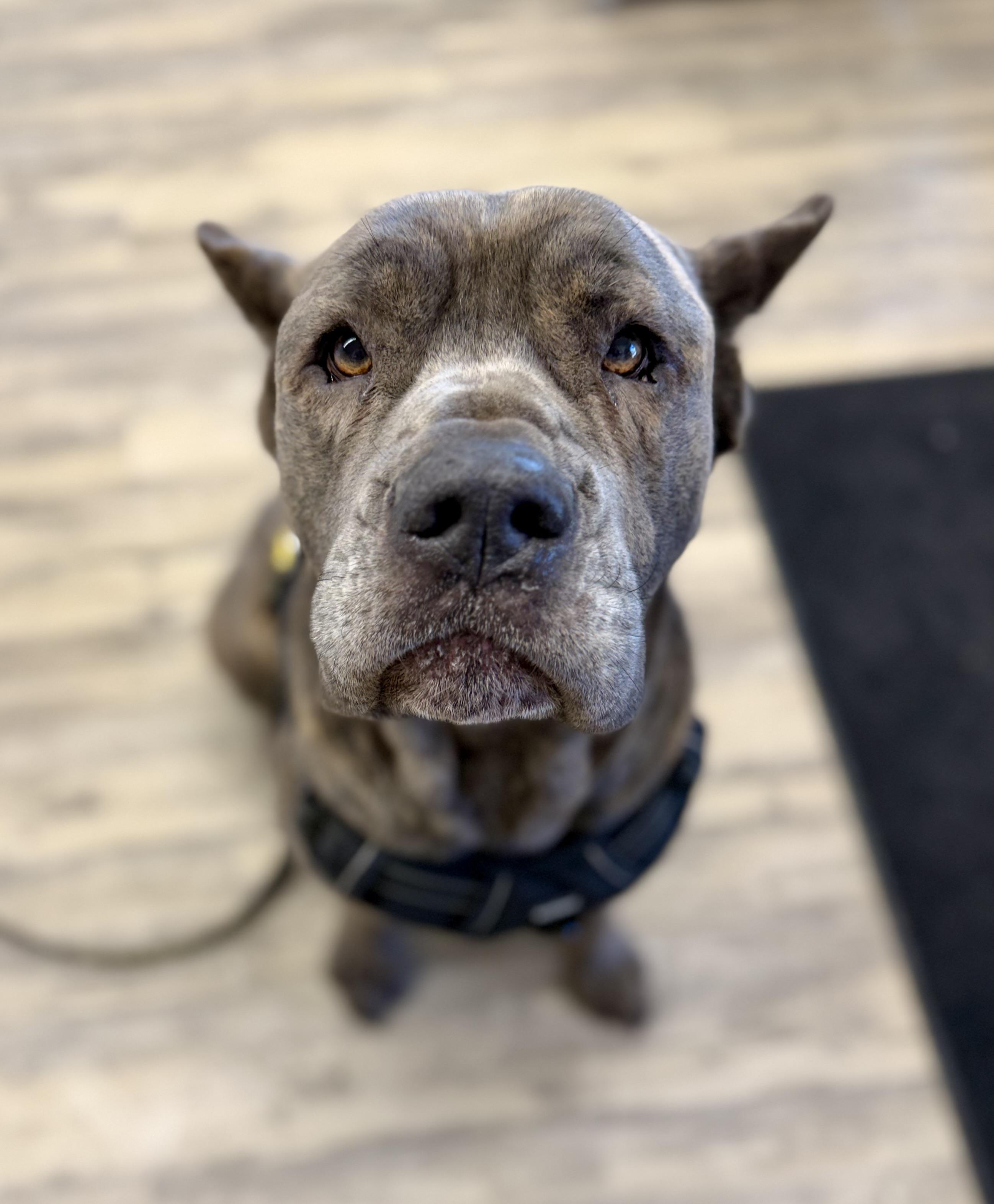 Blue — thumbnail 2