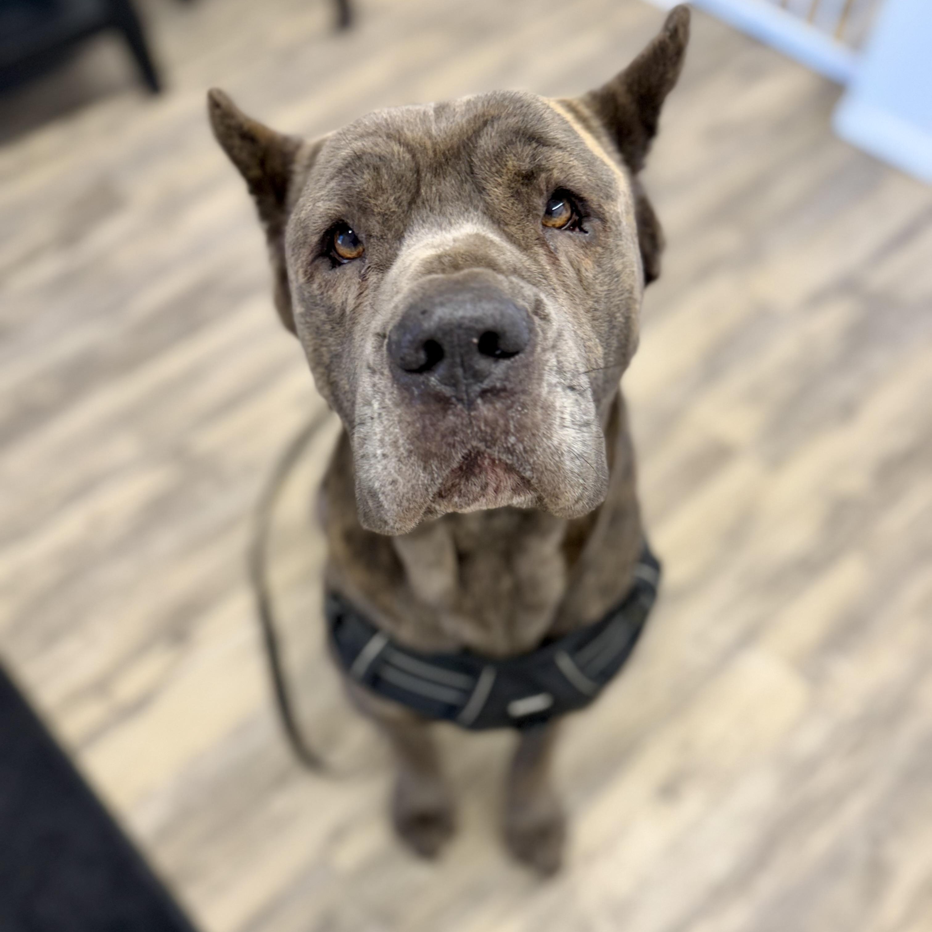 Blue — thumbnail 3