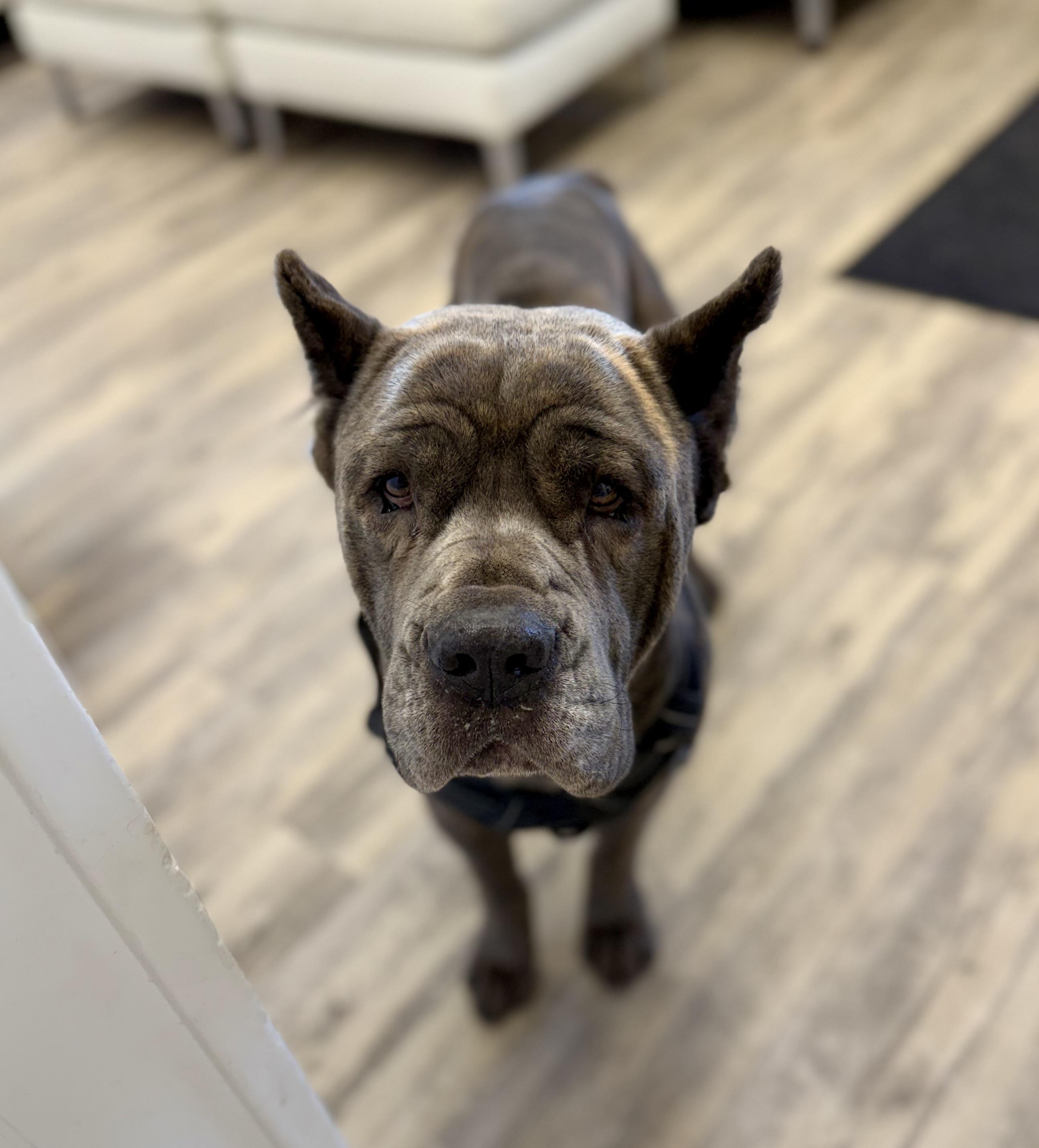 Blue — thumbnail 5