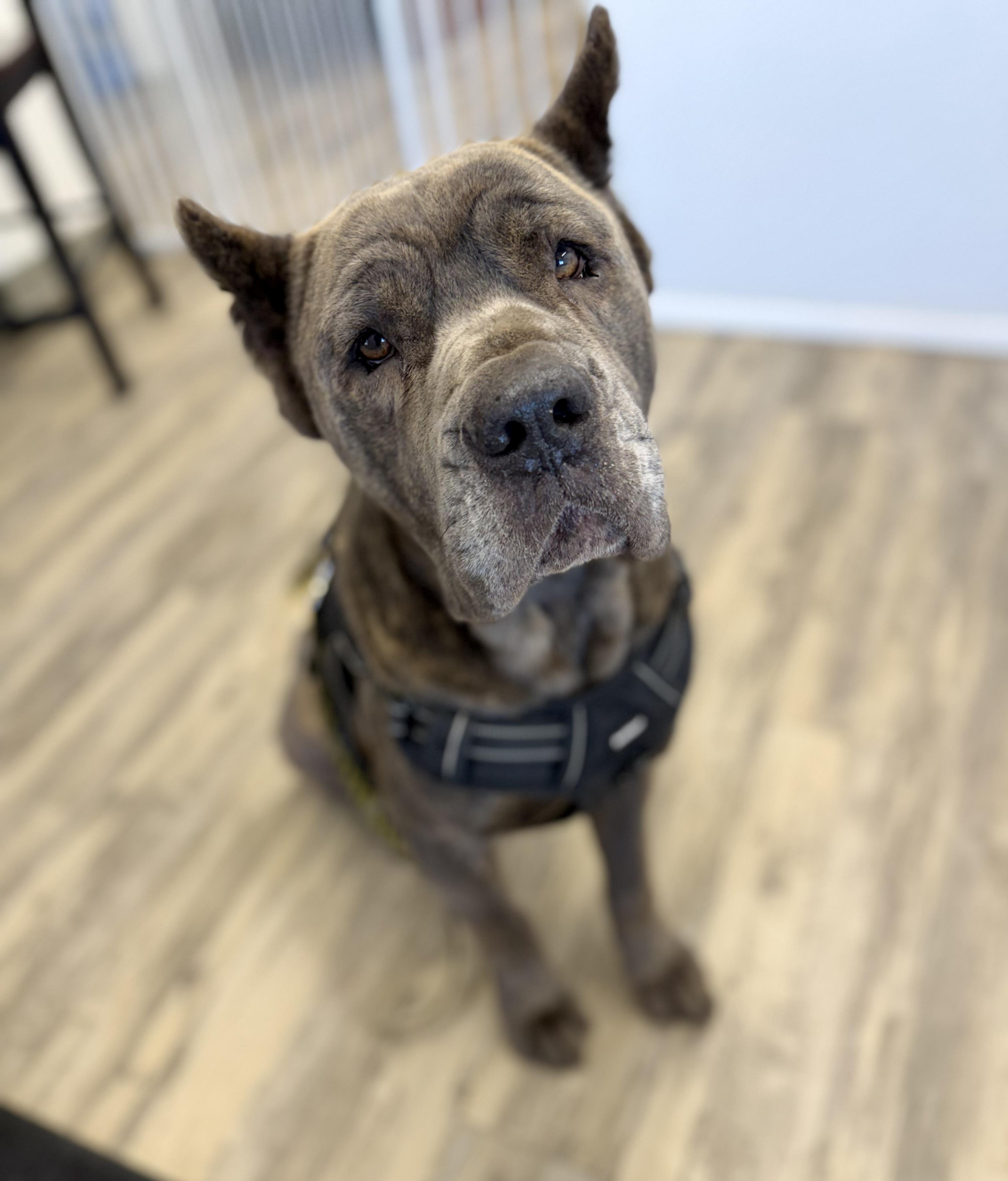 Blue — thumbnail 6