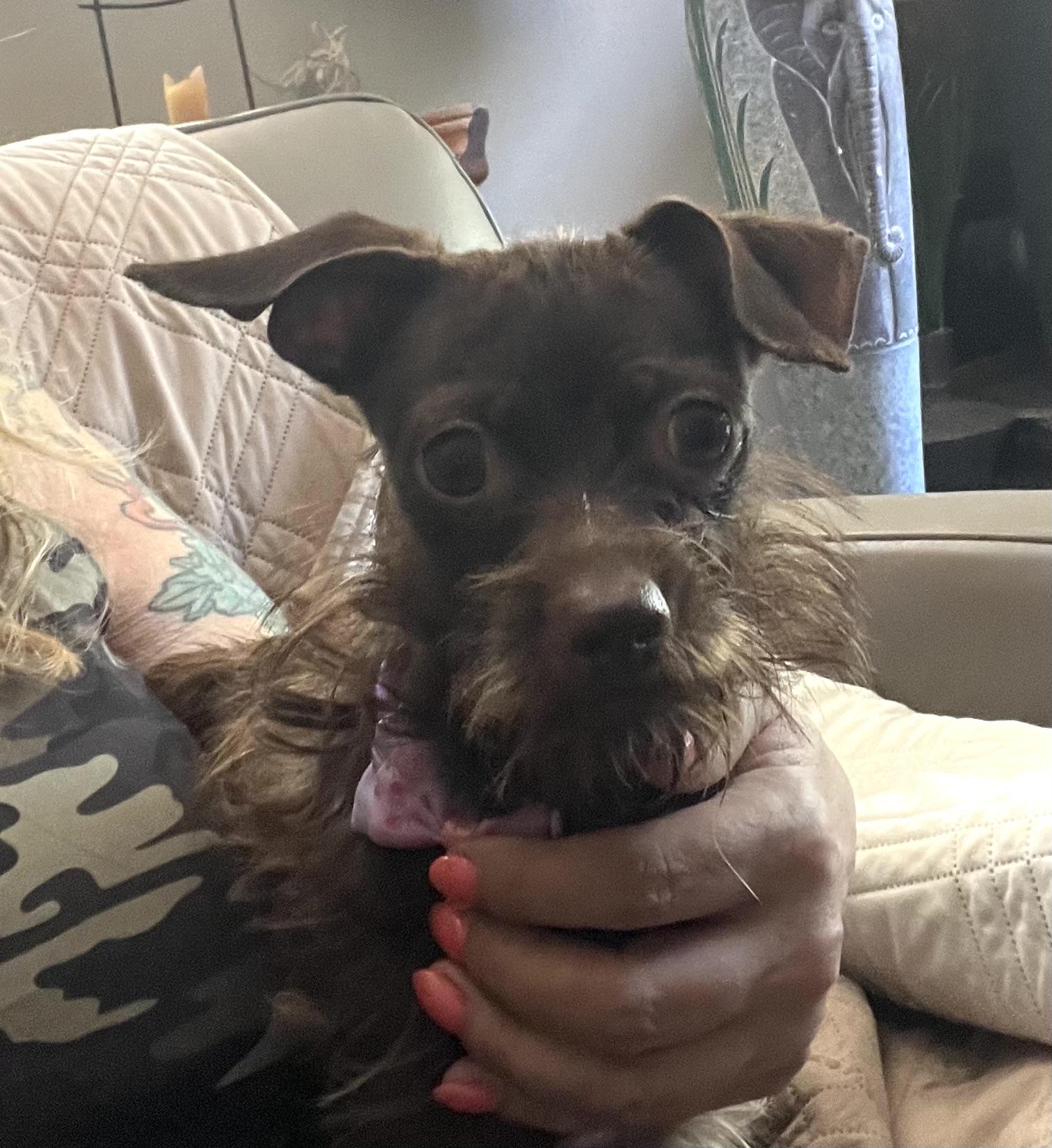 Rosie