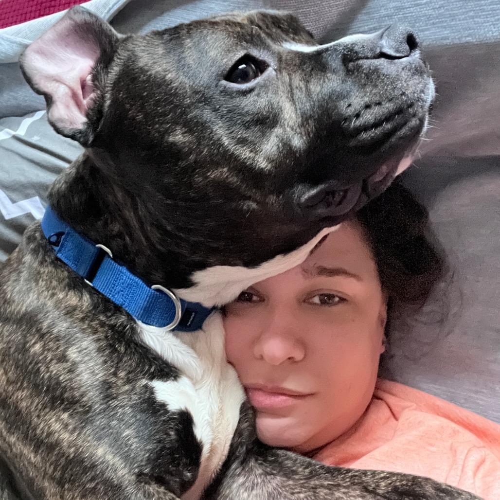 Enlarge Boo, a Adoptable Pit Bull Terrier in Mount Laurel, NJ image 5/5