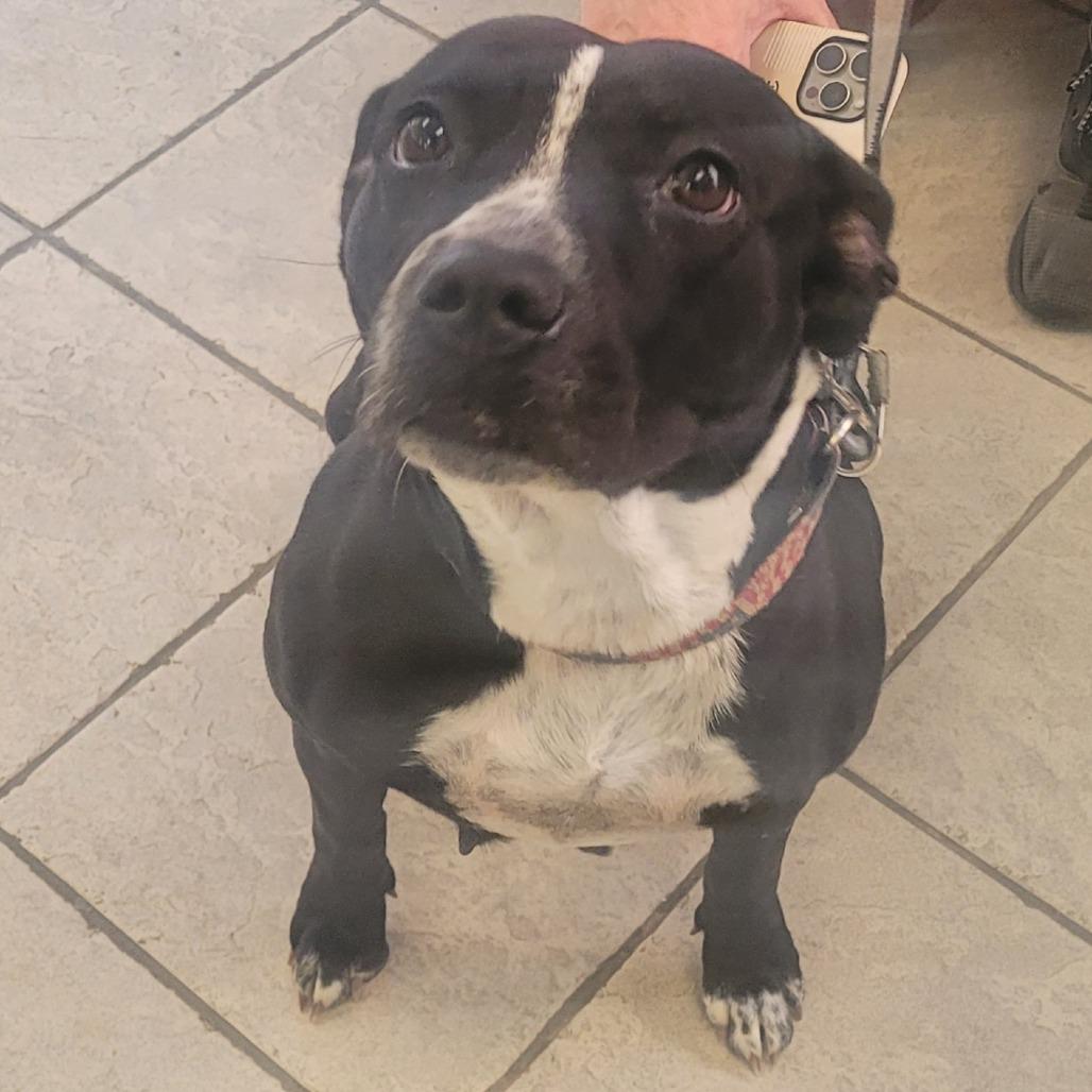 Nora 7458 — thumbnail 2