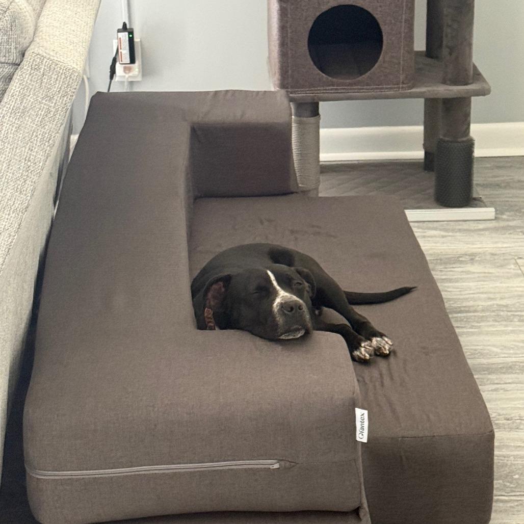 Nora 7458 — thumbnail 3