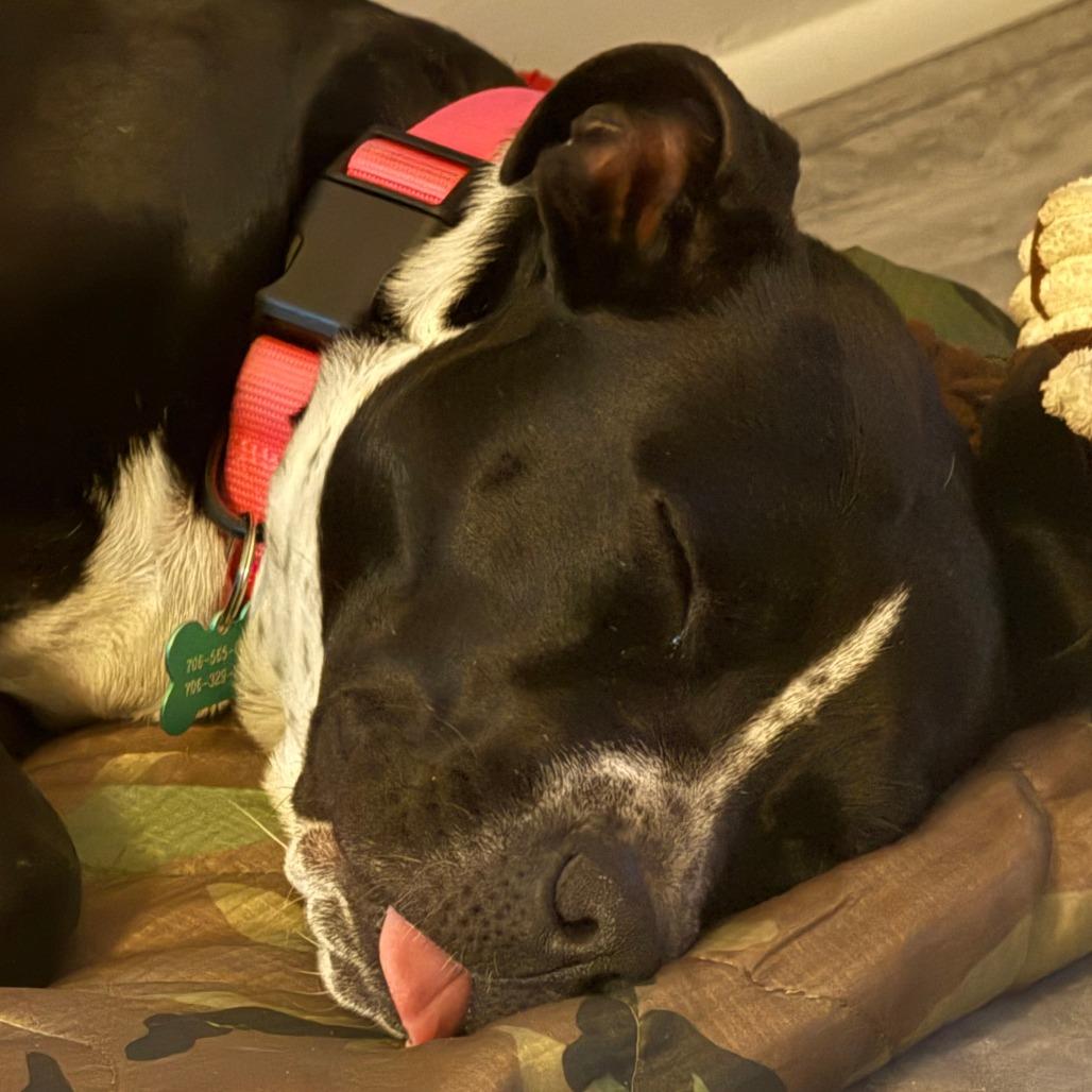 Nora 7458 — thumbnail 4