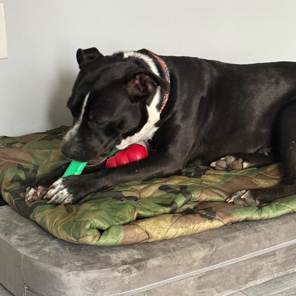 Nora 7458 — thumbnail 5