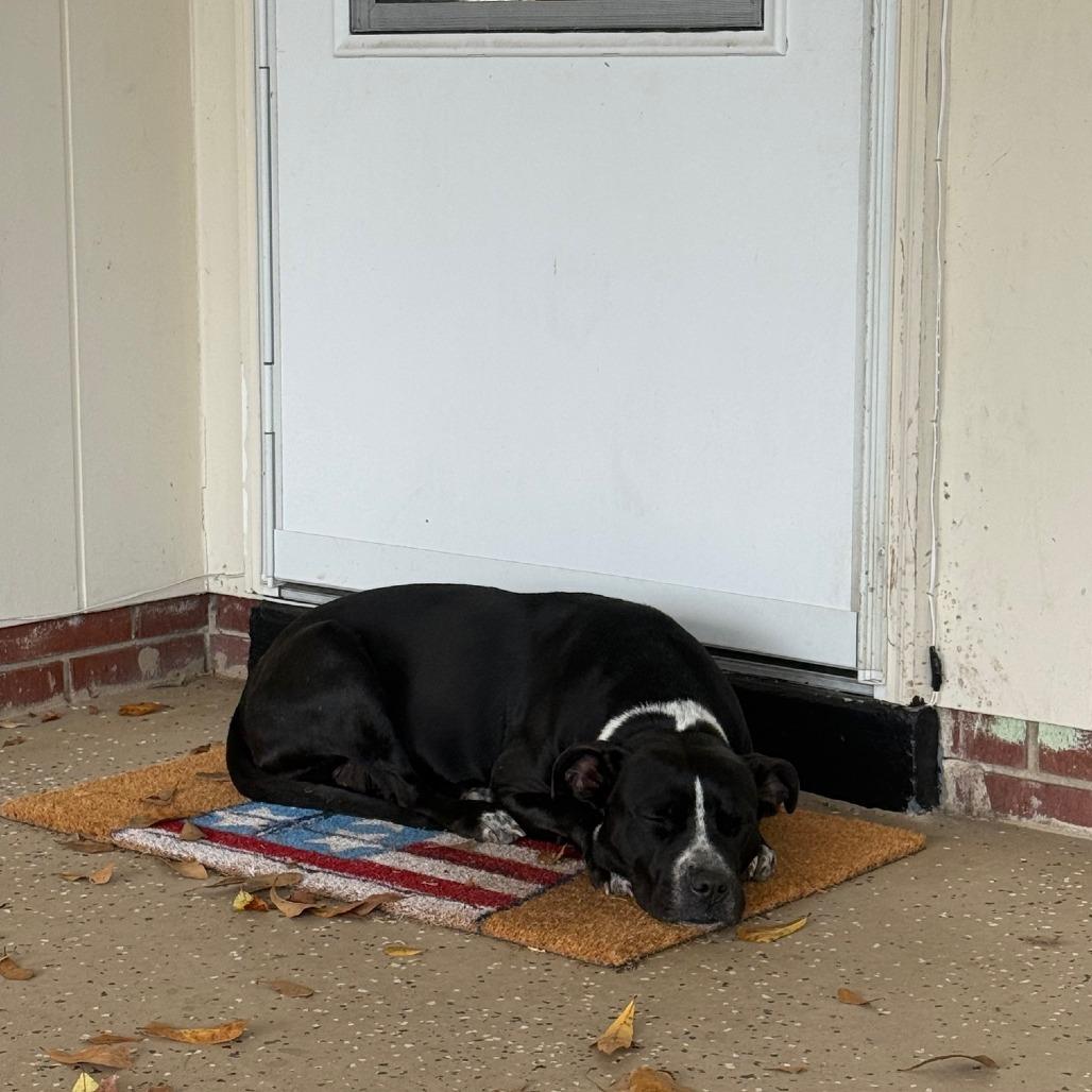 Nora 7458 — thumbnail 6