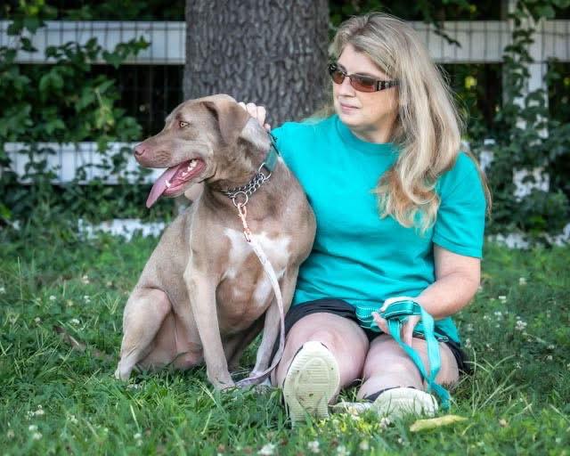 Prowl, a Adoptable Pit Bull Terrier in Newport, KY image 3/3