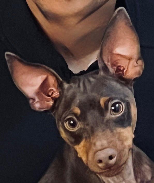 Sweet Pete thumbnail 2