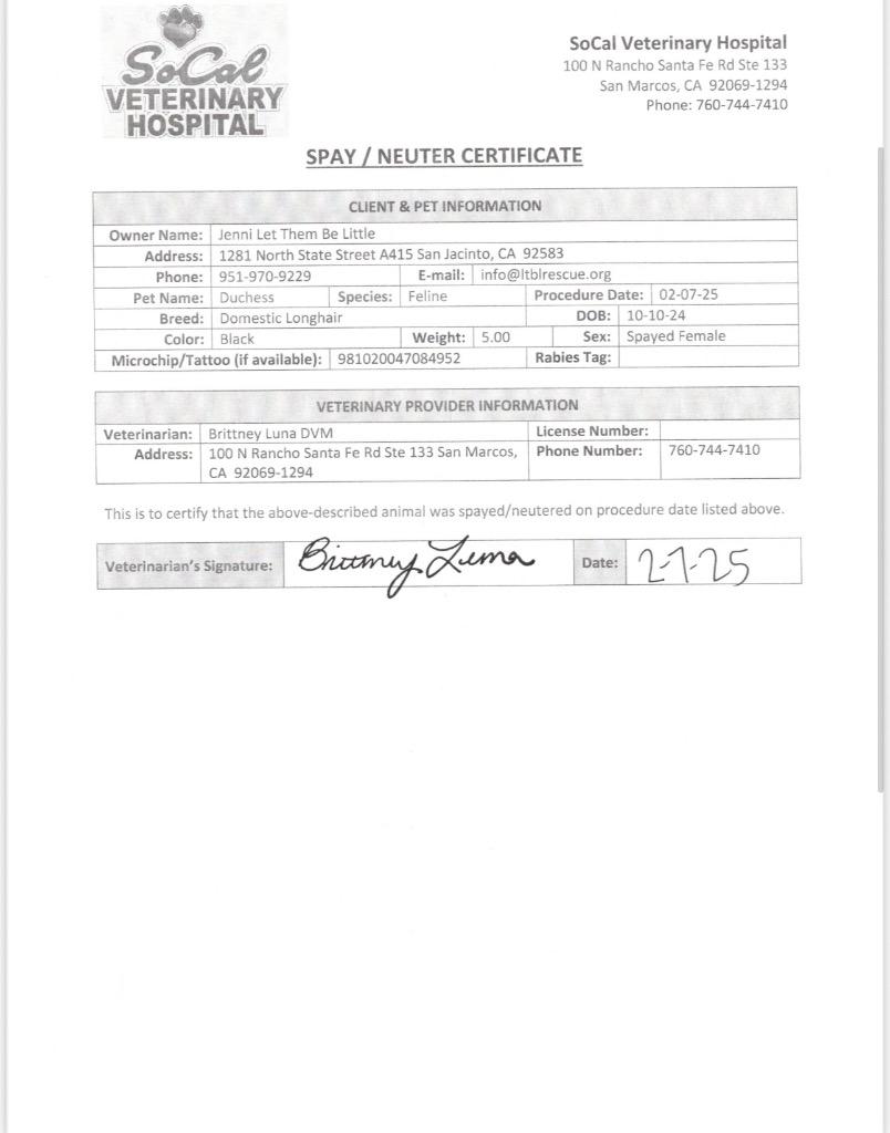 Enlarge Duchess, a Adoptable mixed breed in San Jacinto, CA image 2/2