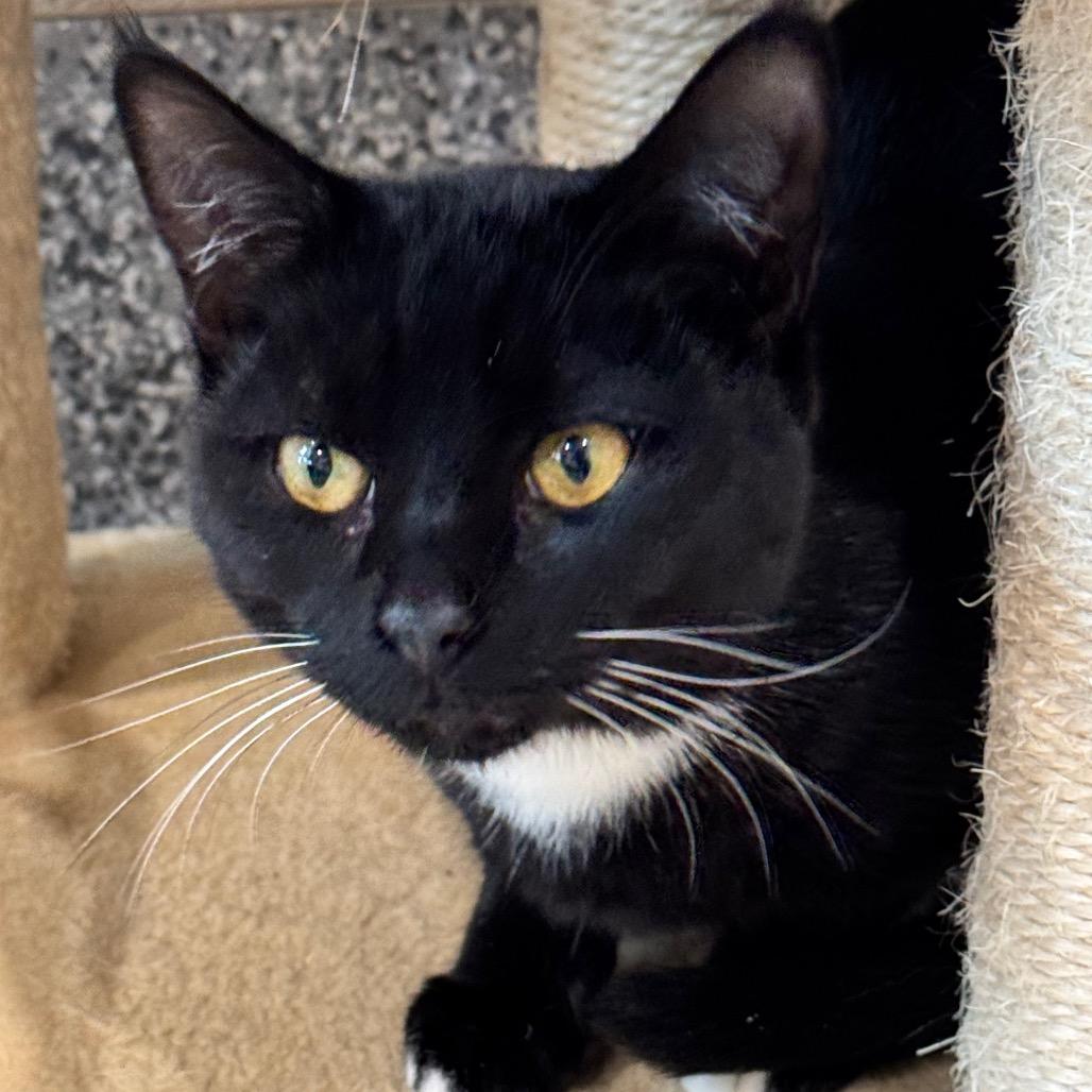 Frankfort — thumbnail 2