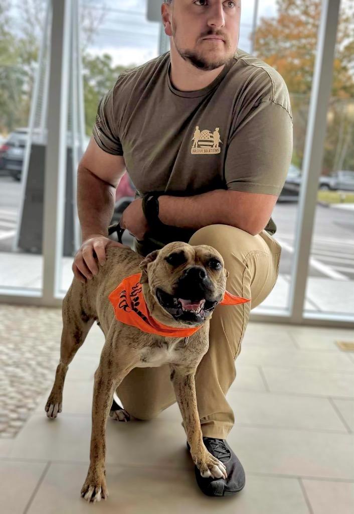 Rinny - LOCAL, a Adoptable mixed breed in Princeton, MA image 5/6