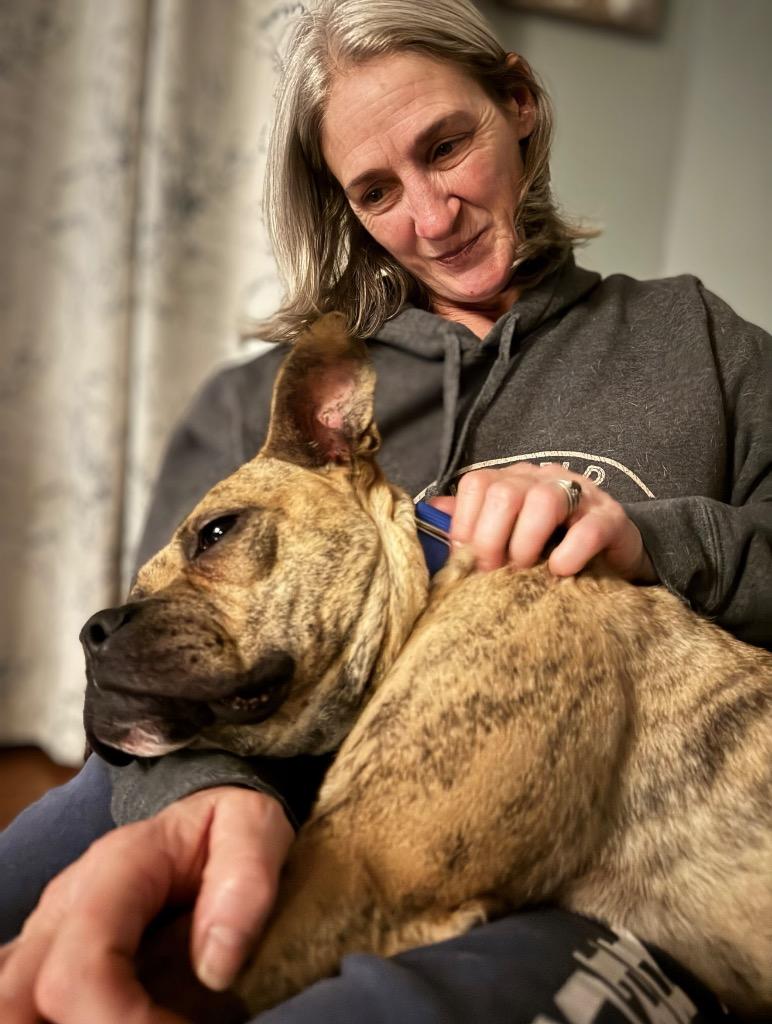 Enlarge Rinny - LOCAL, a Adoptable mixed breed in Princeton, MA image 5/6