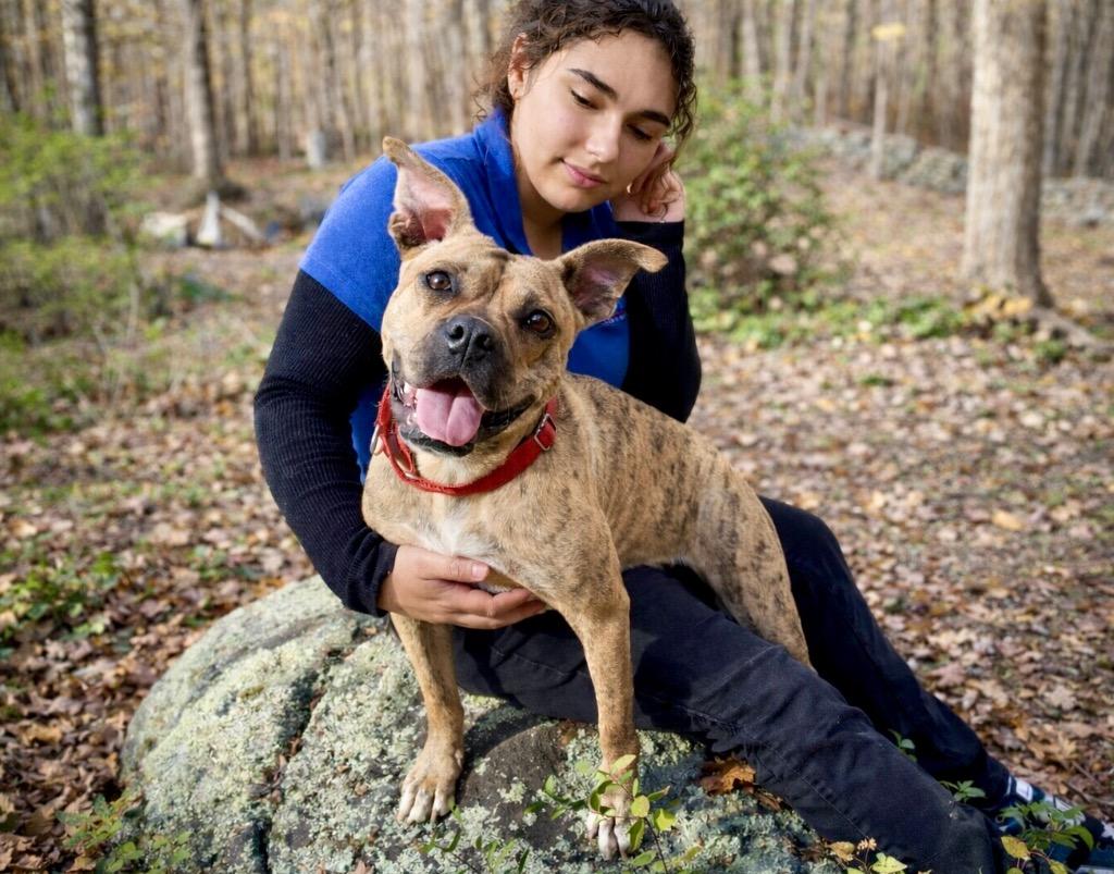 Rinny - LOCAL in CT, a Adoptable mixed breed in Princeton, MA image 4/6
