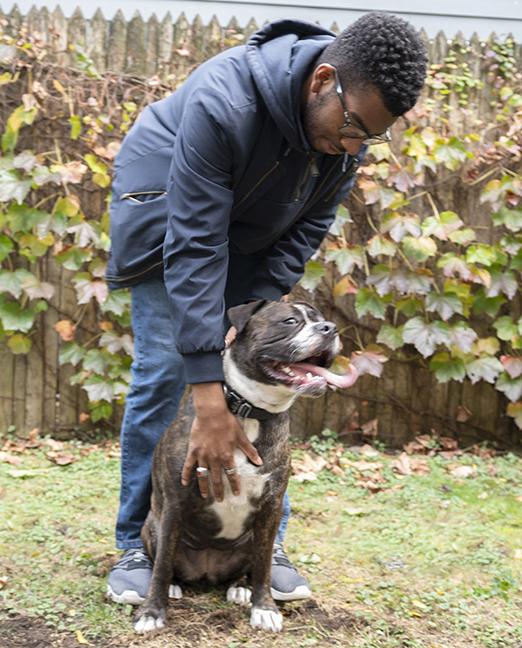 Cora, a Adoptable mixed breed in Chicago, IL image 3/6