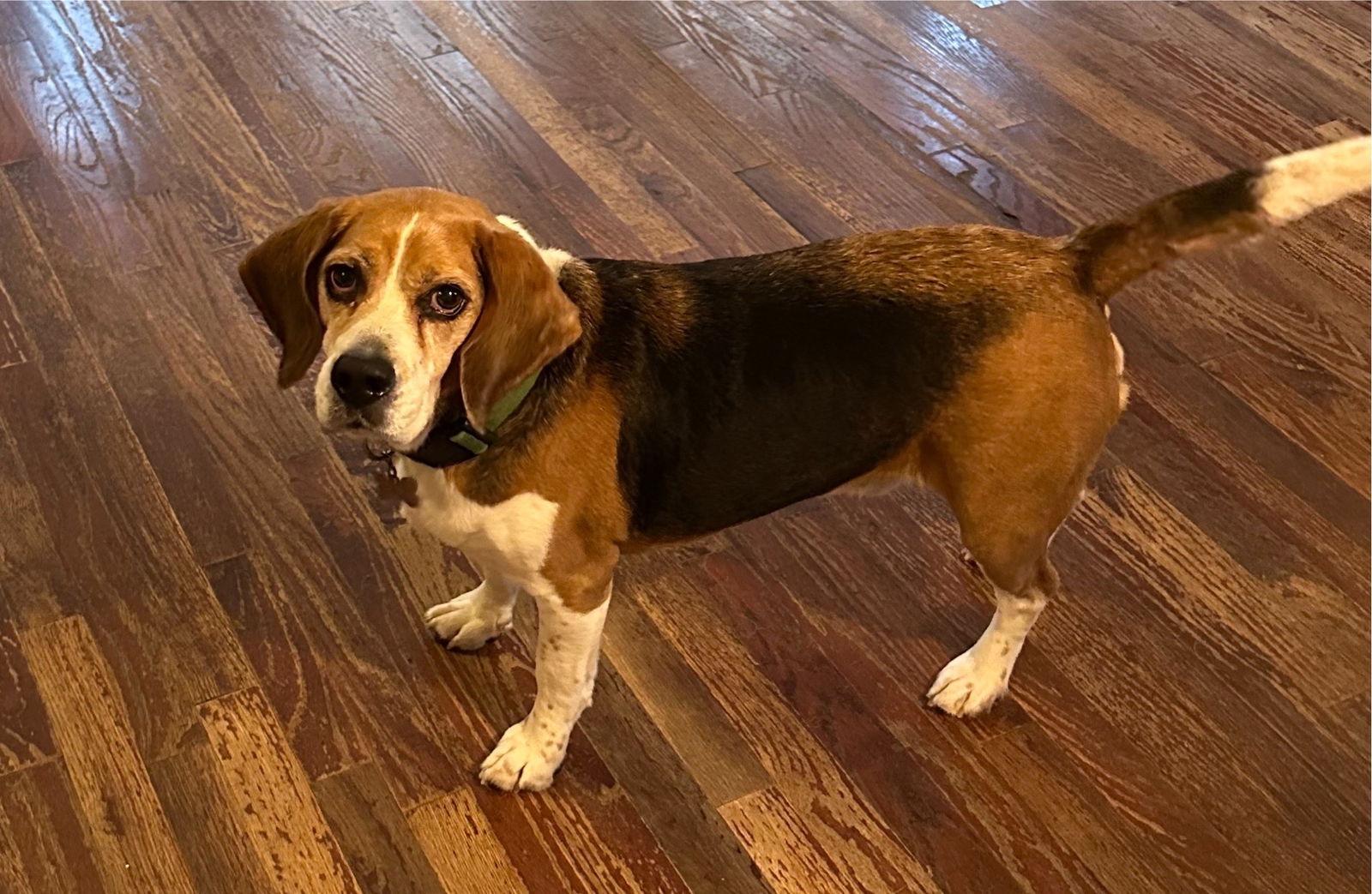 Fletcher Hayes — thumbnail 2