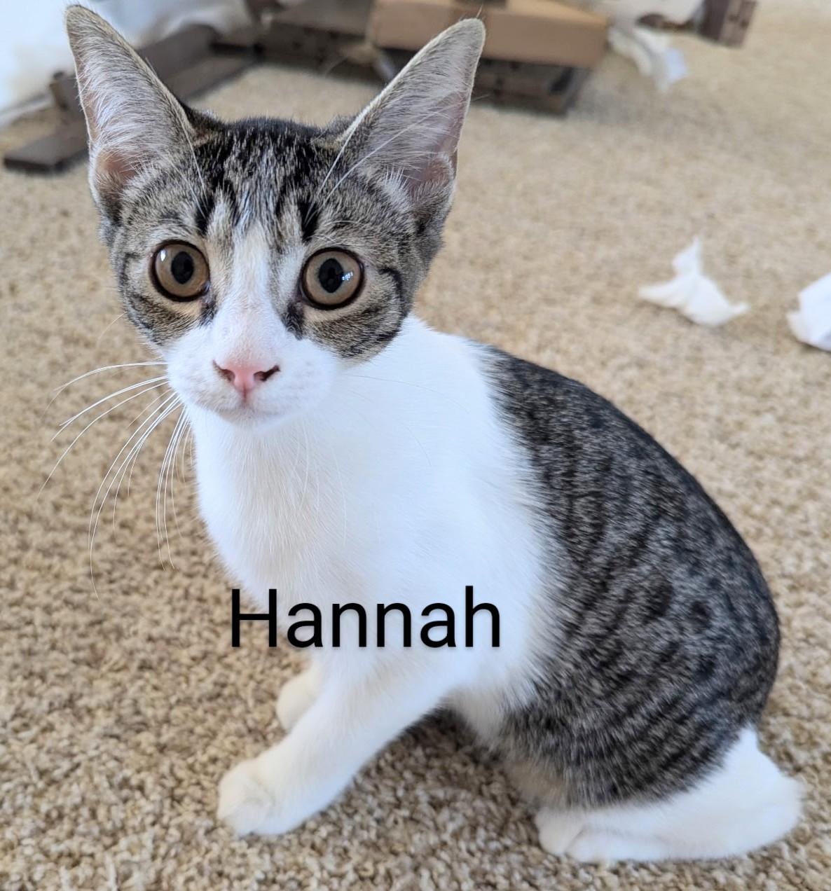 Hannah