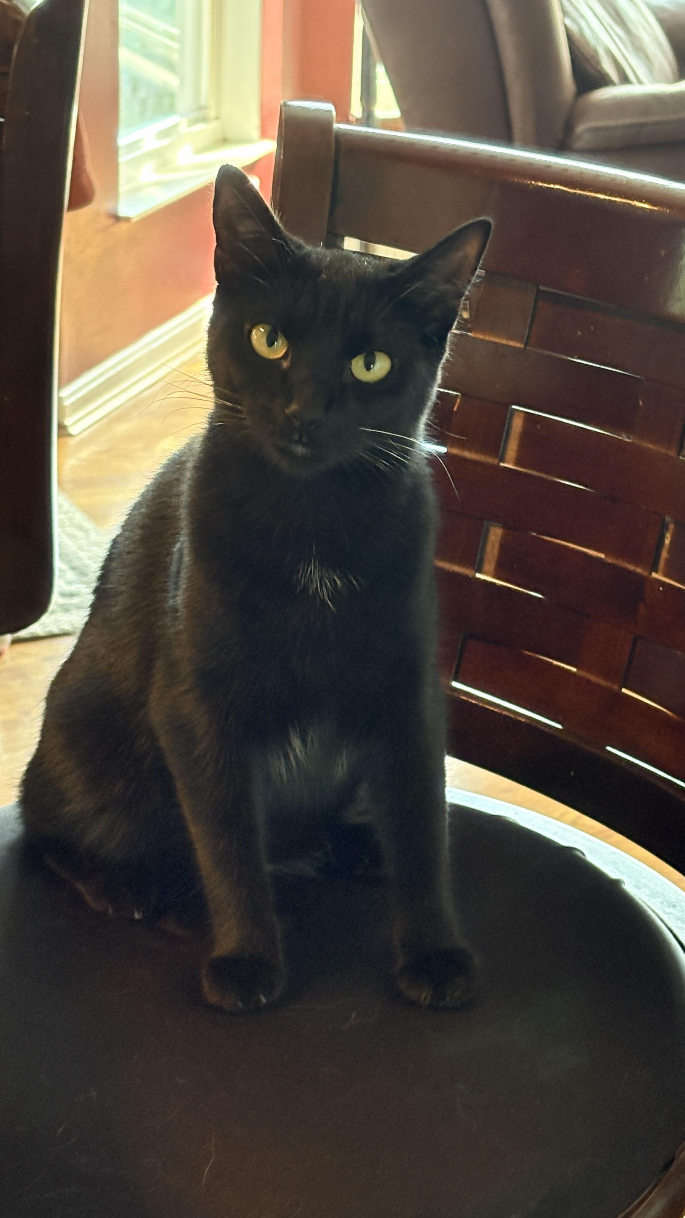 Luminous and Loving LUNA