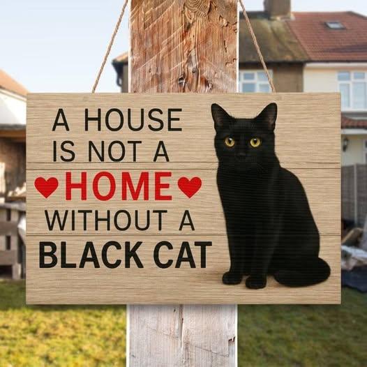 Enlarge Luminous and Loving LUNA, a Adopted mixed breed in Taylor Mill, KY image 3/5